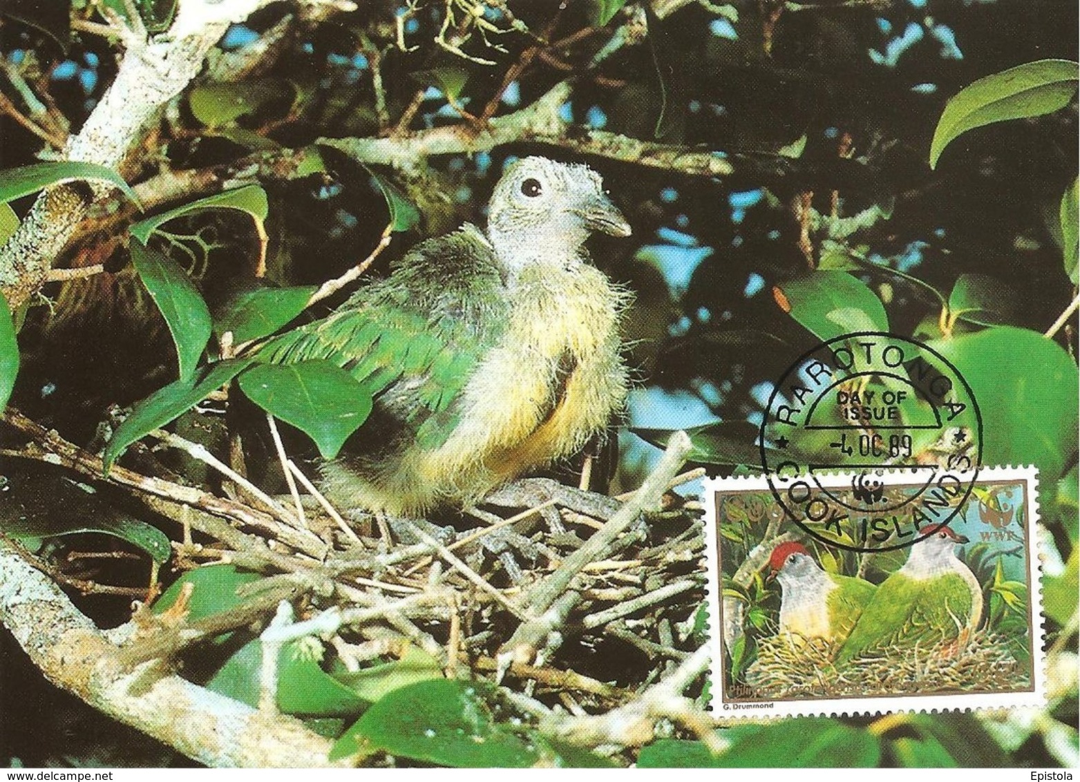 1989 - COOK ISLANDS Rarotonga - Fruit Dove -  Ptilope Nain WWF - Cookeilanden