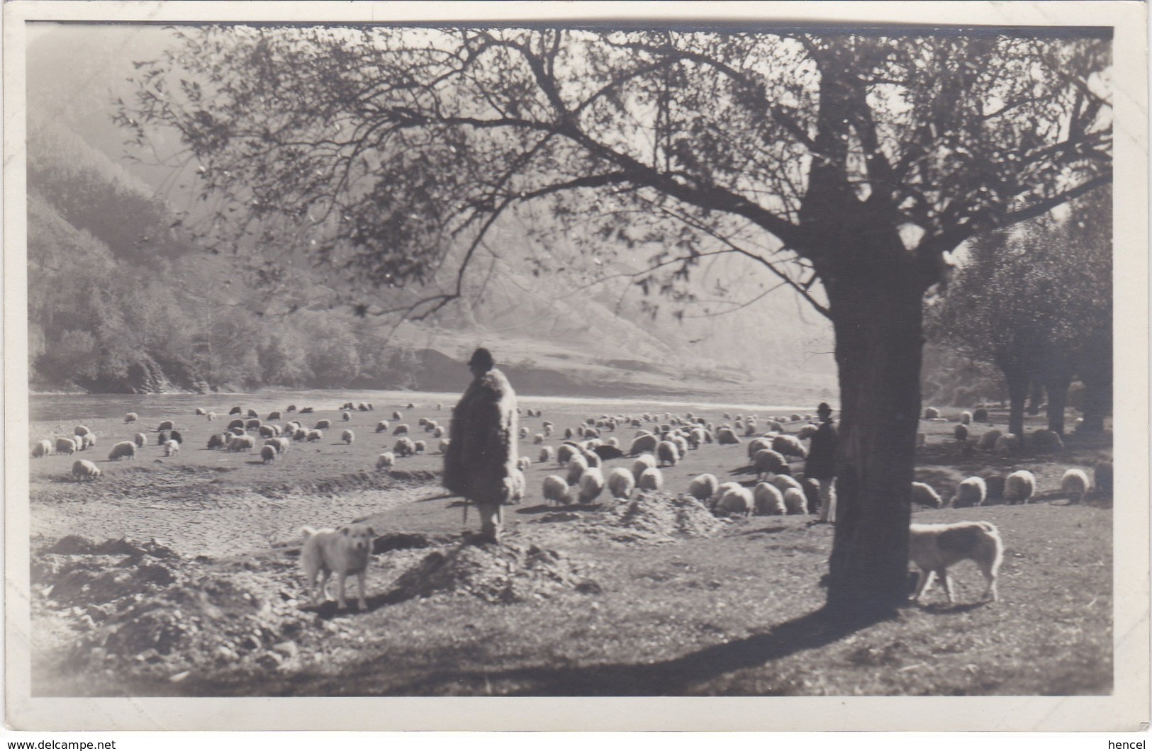 ROUMANIE. 3 Cartes. Transylvanie Occidentale. - Rumänien