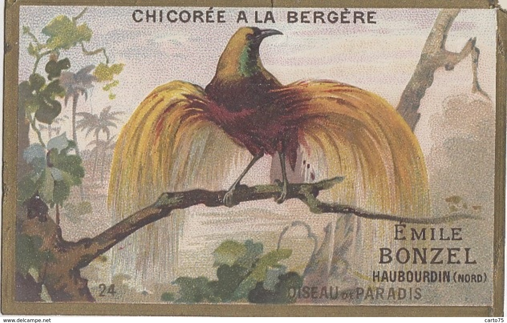 Commerce - Magasins - Chromo Emile Bonzel Haubourdin - Chicorée - Oiseau De Paradis - Winkels