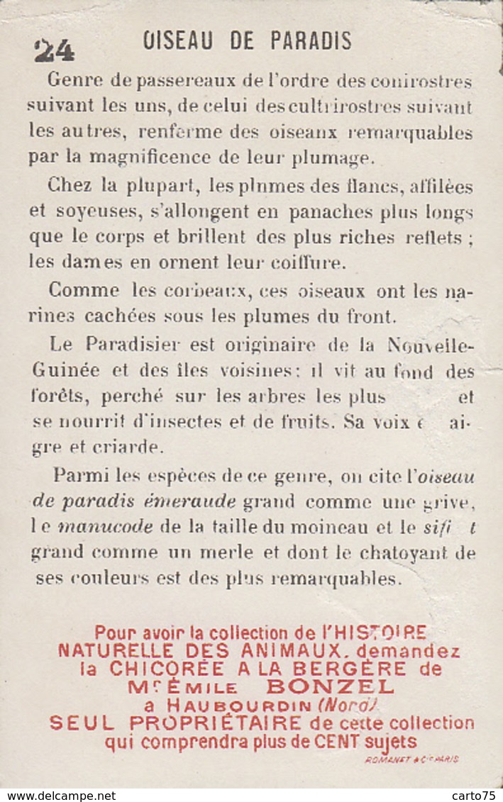 Commerce - Magasins - Chromo Emile Bonzel Haubourdin - Chicorée - Oiseau De Paradis - Winkels