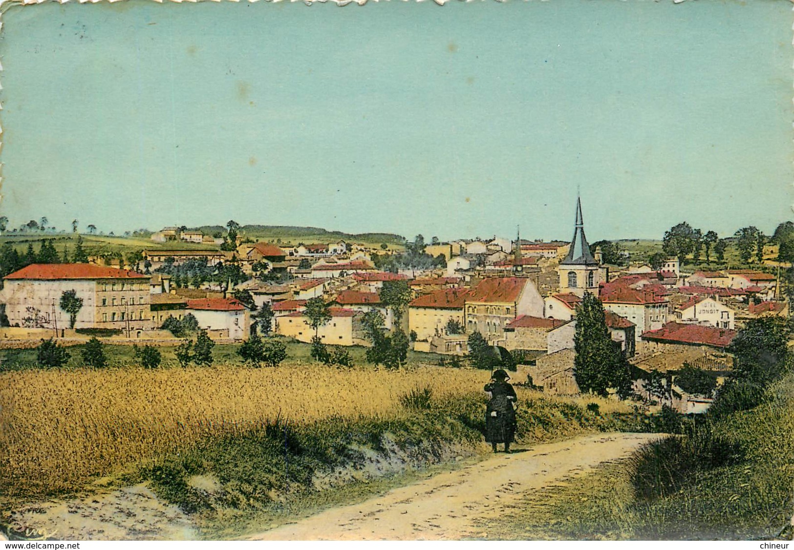 CRAPONNE SUR ARZON VUE GENERALE SUD OUEST - Craponne Sur Arzon