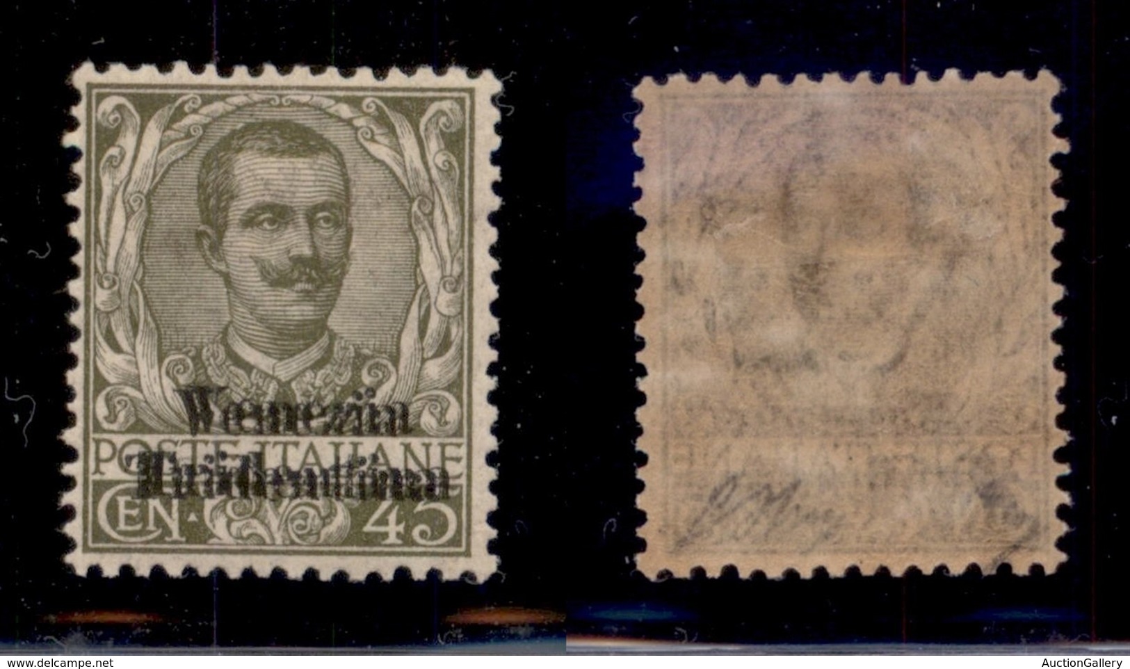 OCCUPAZIONI I GUERRA MONDIALE - TRENTINO-ALTO ADIGE - 1918 - 45 Cent (25b) Con Doppia Soprastampa - Gomma Originale - Ol - Sonstige & Ohne Zuordnung