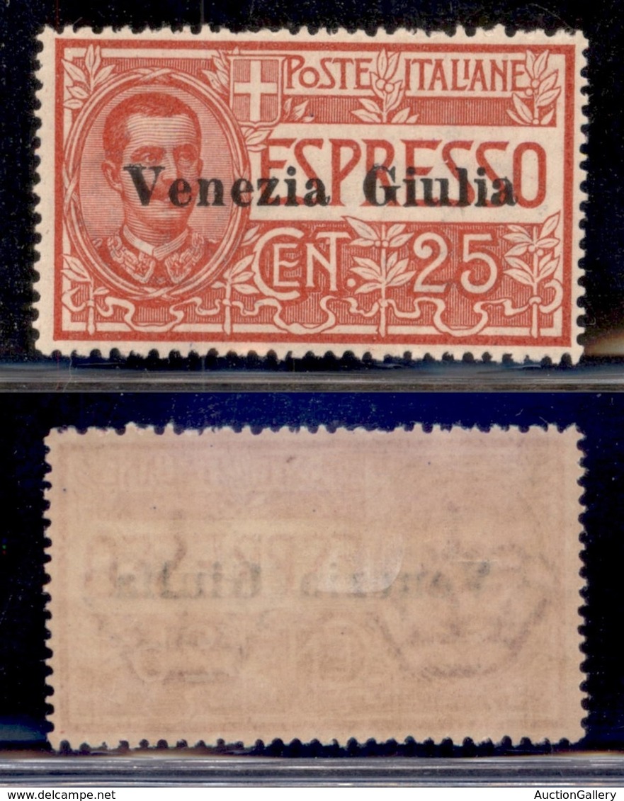 OCCUPAZIONI I GUERRA MONDIALE - VENEZIA GIULIA - 1919 - 25 Cent (1) - Gomma Originale - Ottima Centratura - Autres & Non Classés