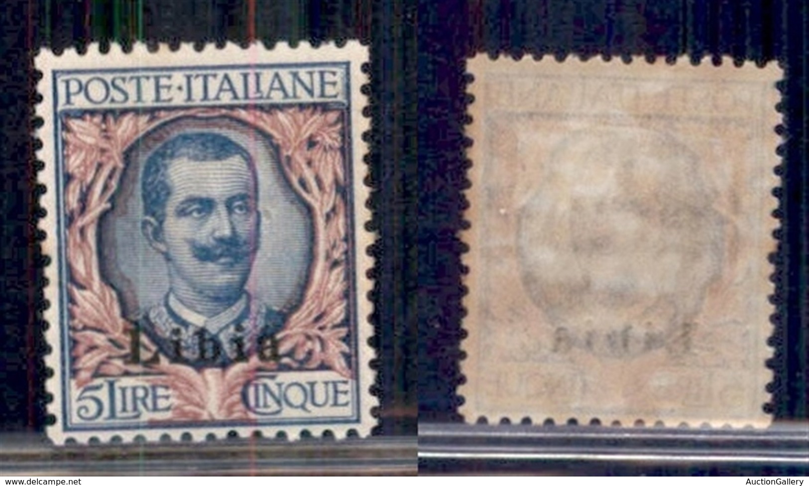 COLONIE - LIBIA - 1915 - 5 Lire (11) - Gomma Originale (700) - Sonstige & Ohne Zuordnung