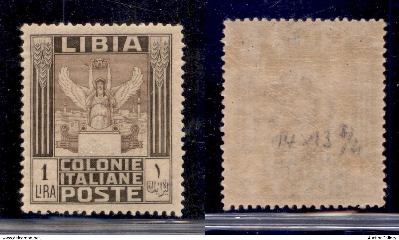 COLONIE - LIBIA - 1921 - 1 Lira (30) Gomma Integra (400) - Sonstige & Ohne Zuordnung