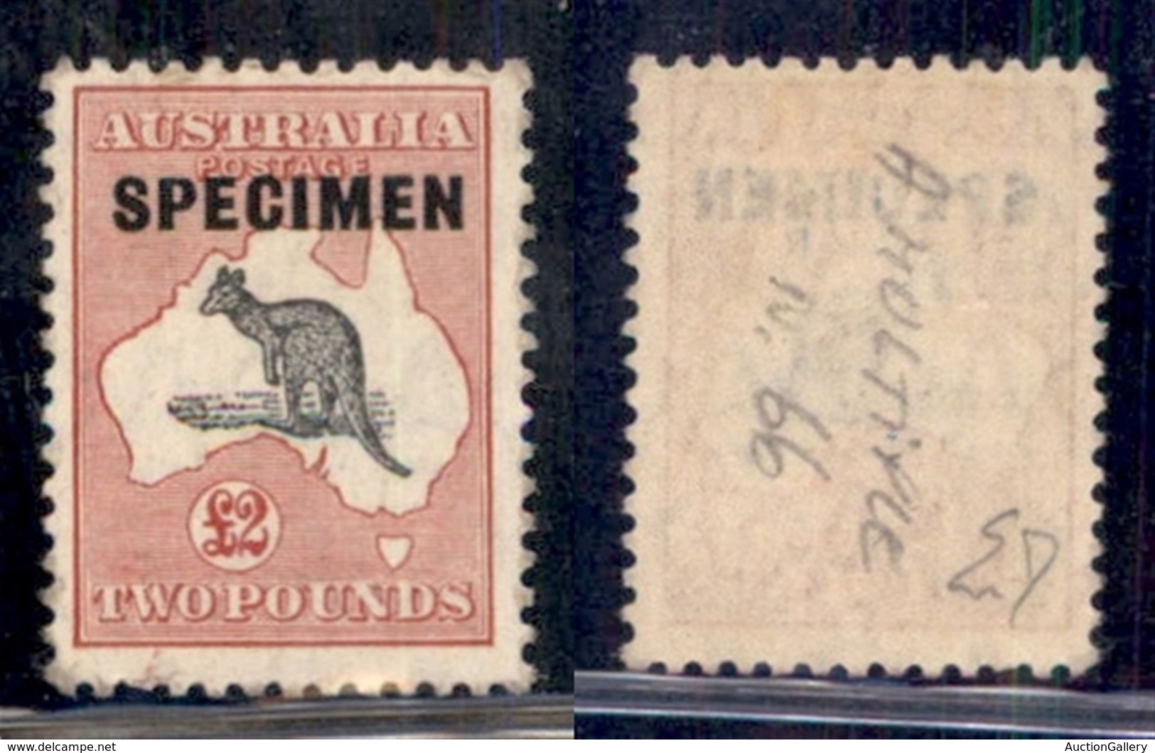 OLTREMARE - AUSTRALIA - 1913 - Specimen - 2 Pounds (18) - Gomma Originale - Andere & Zonder Classificatie