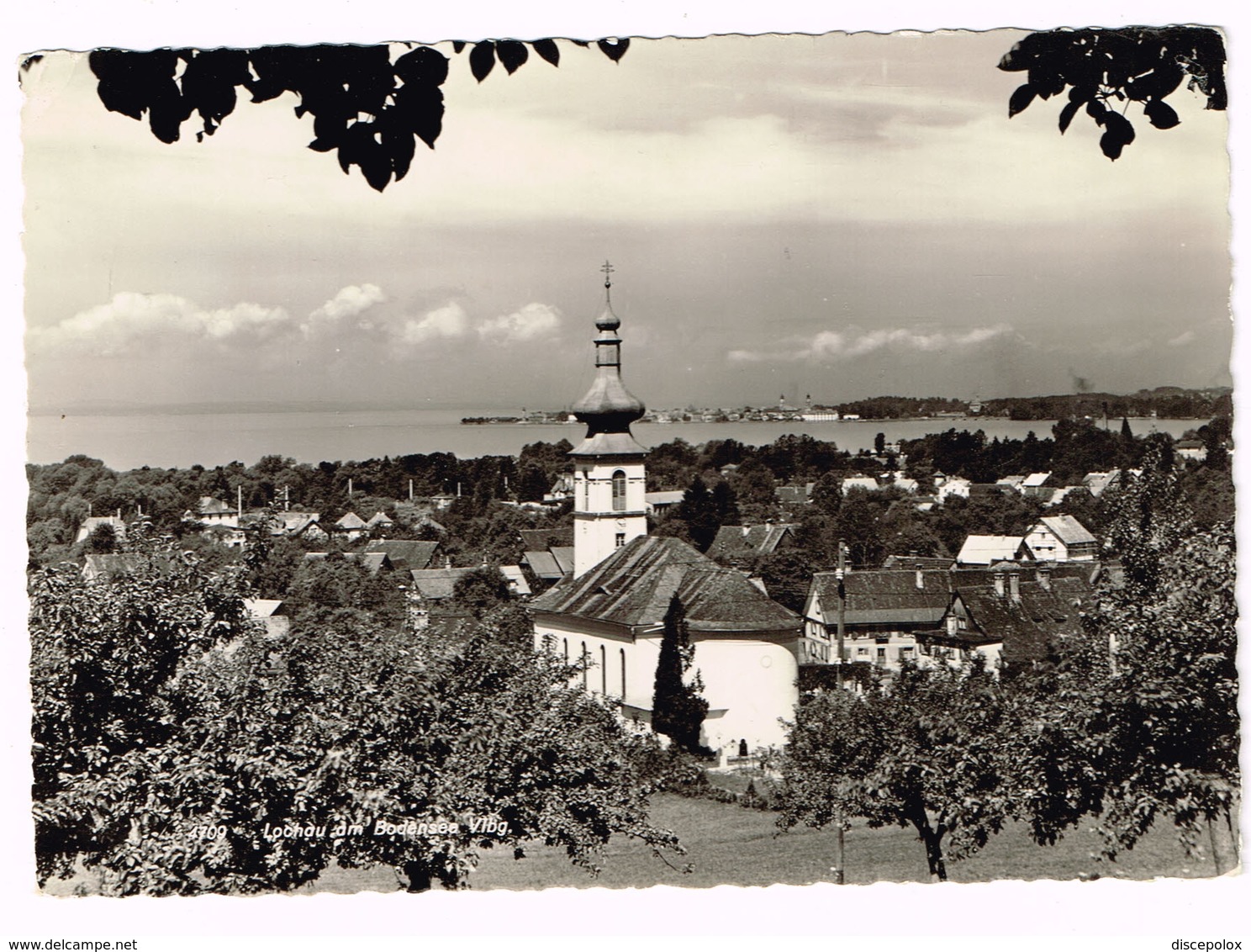 V4973 Lochau Am Bodensee Vorarlberg / Viaggiata 1956 - Lochau