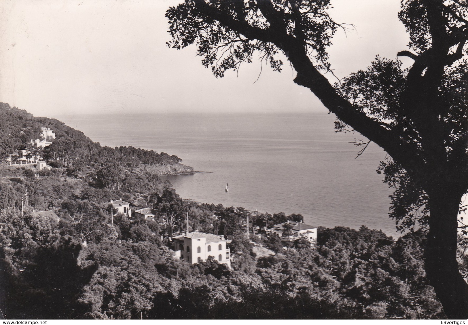 83 LE RAYOL, Vue Générale Sur La Baie, Carte Dentelée - Rayol-Canadel-sur-Mer