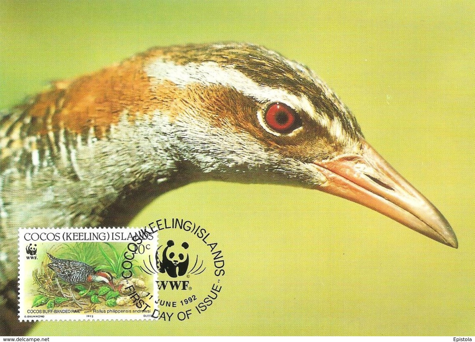 1992 - COCOS KEELING ISLANDS - Cocos Buff Banded Rail - Râle Tiklin WWF - Islas Cocos (Keeling)