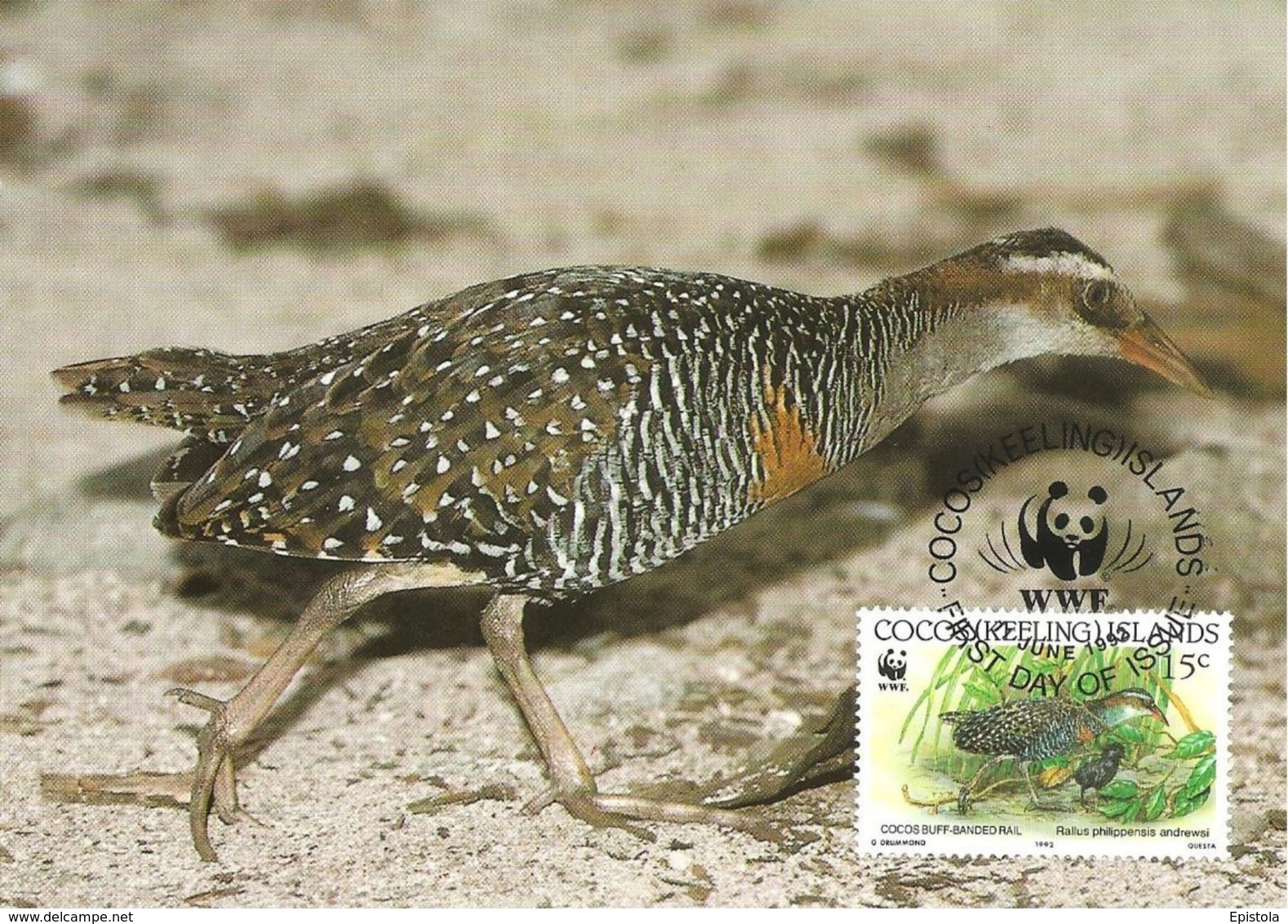 1992 - COCOS KEELING ISLANDS - Cocos Buff Banded Rail - Râle Tiklin WWF - Kokosinseln (Keeling Islands)