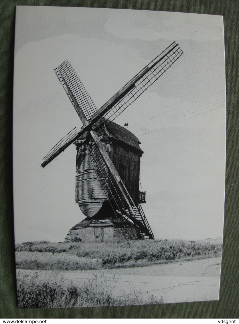 SCHAFFEN - WINDMOLEN - Diest