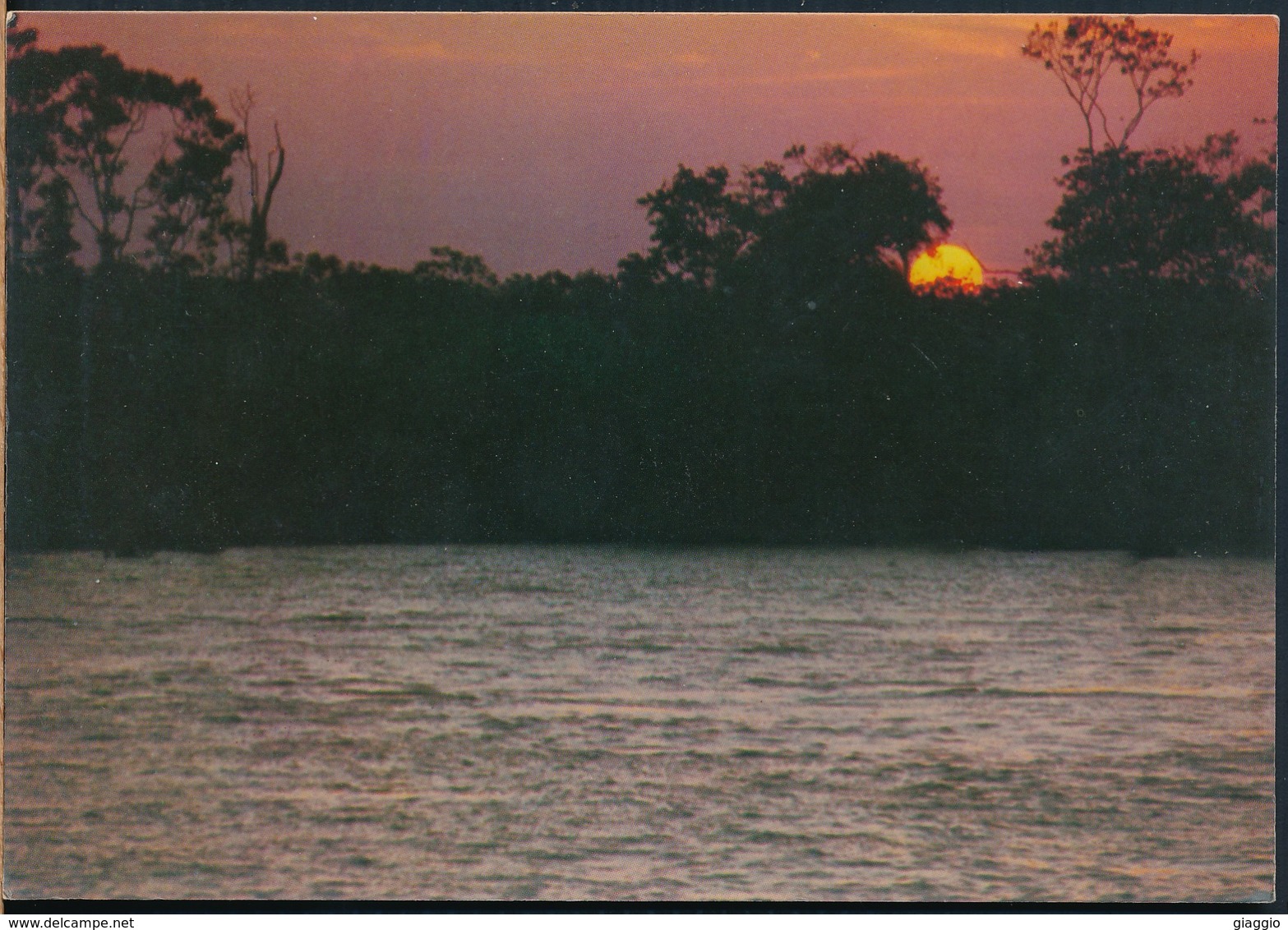°°° 19802 - BRASIL - REGIAO AMAZONICA - POR DO SOL NO RIO NEGRO °°° - Manaus