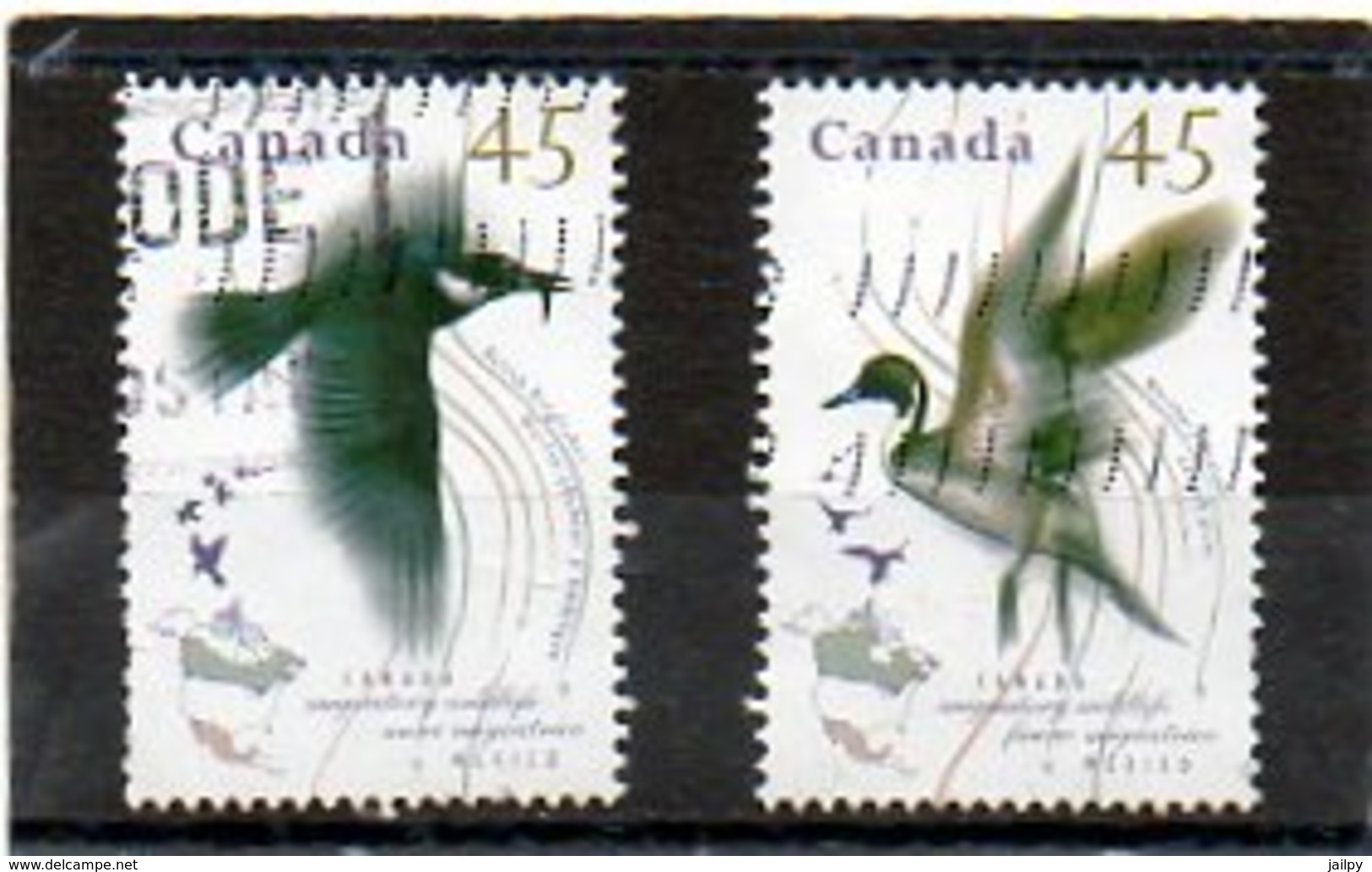 CANADA   2 Timbres 45 C    1995   Scott : 1422 Et 24  (1422 Avec Le Mot Aune Au Lieu De Faune )   Oblitérés - Single Stamps