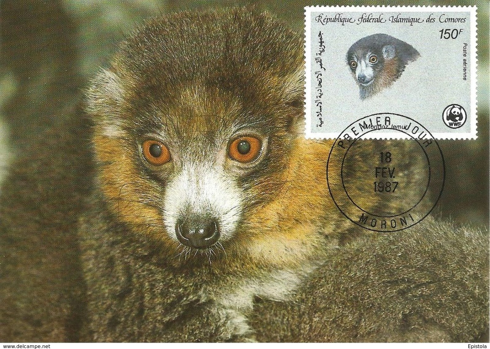 1987 - COMORES  Moroni - Lemurien Mongoz Lemur  WWF - Comoros