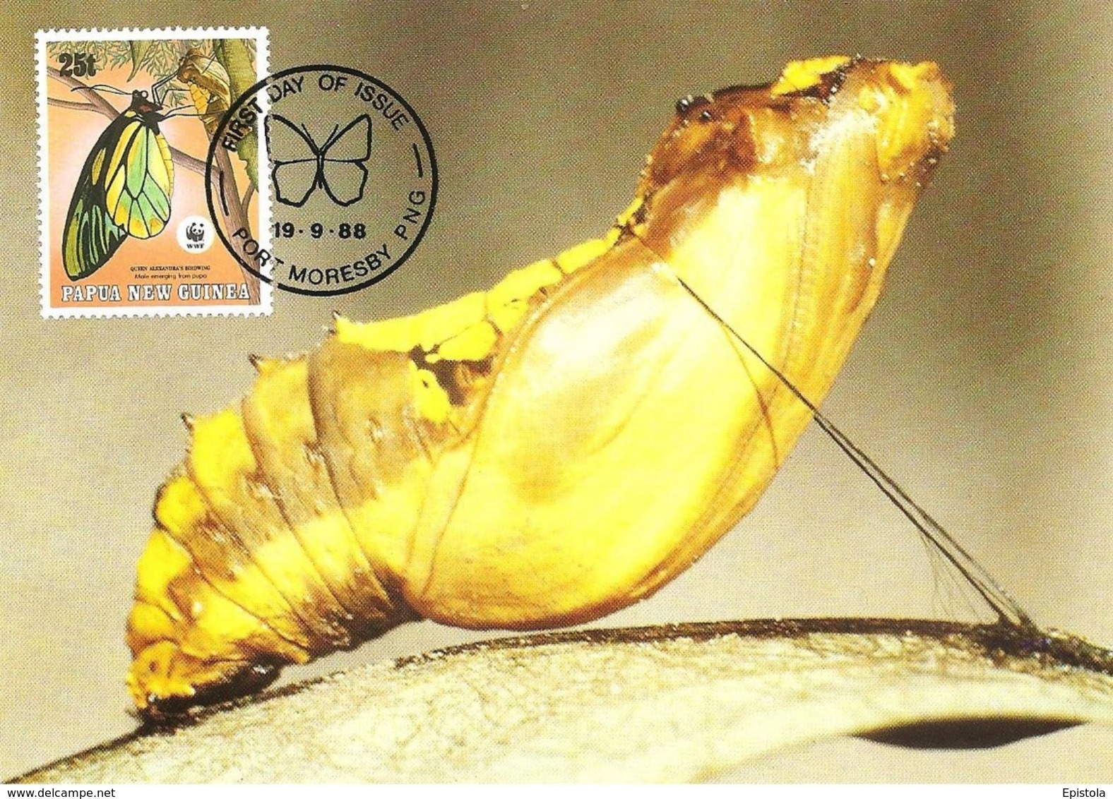 1988 - PAPUA NEW GUINEA - Port Moresby - Butterfly Queen Alexandra  WWF - Papoea-Nieuw-Guinea