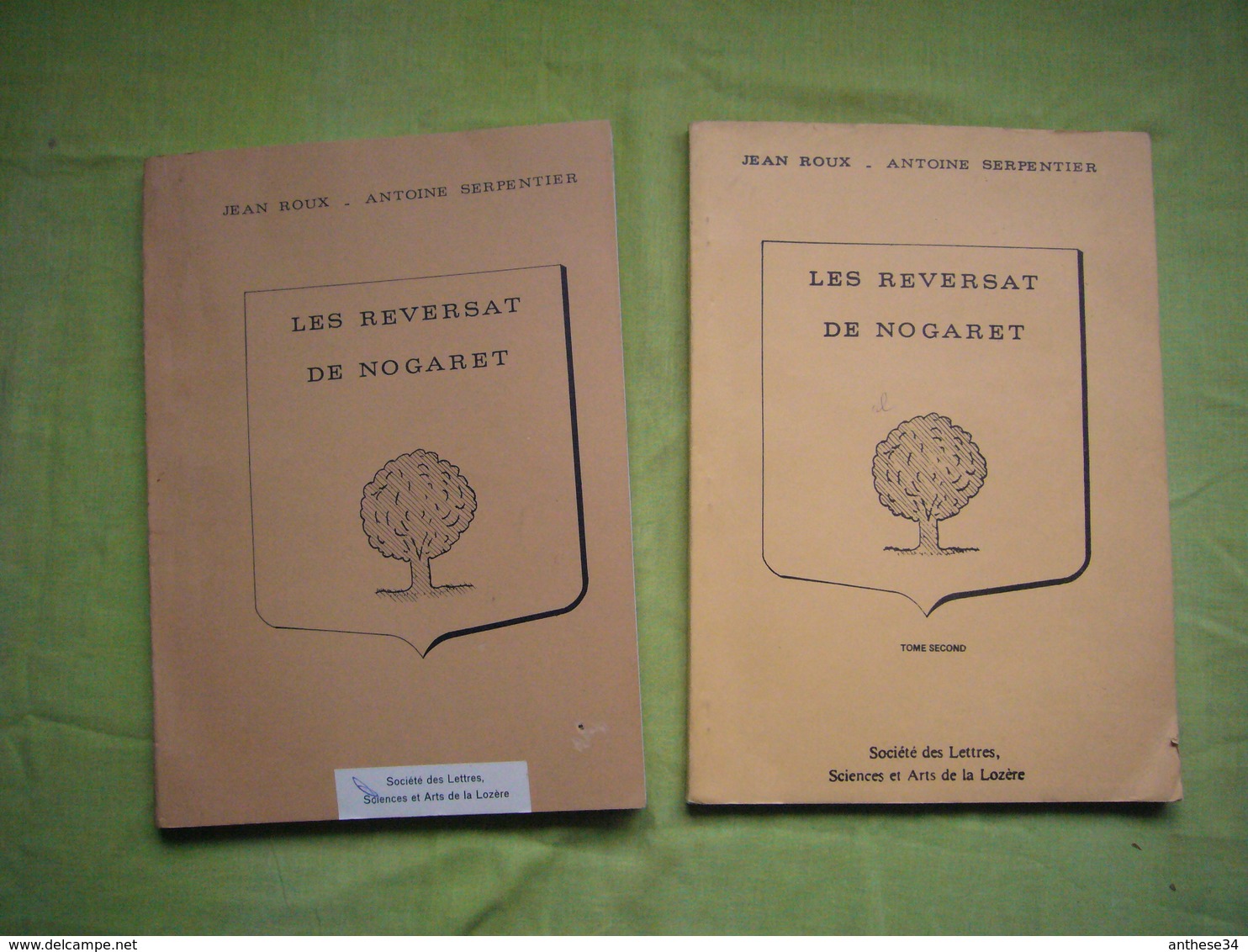 Tapuscrit En 2 Volumes Généalogie De La Famille Reversat De Nogaret Lozère 250 Pages - Non Classés