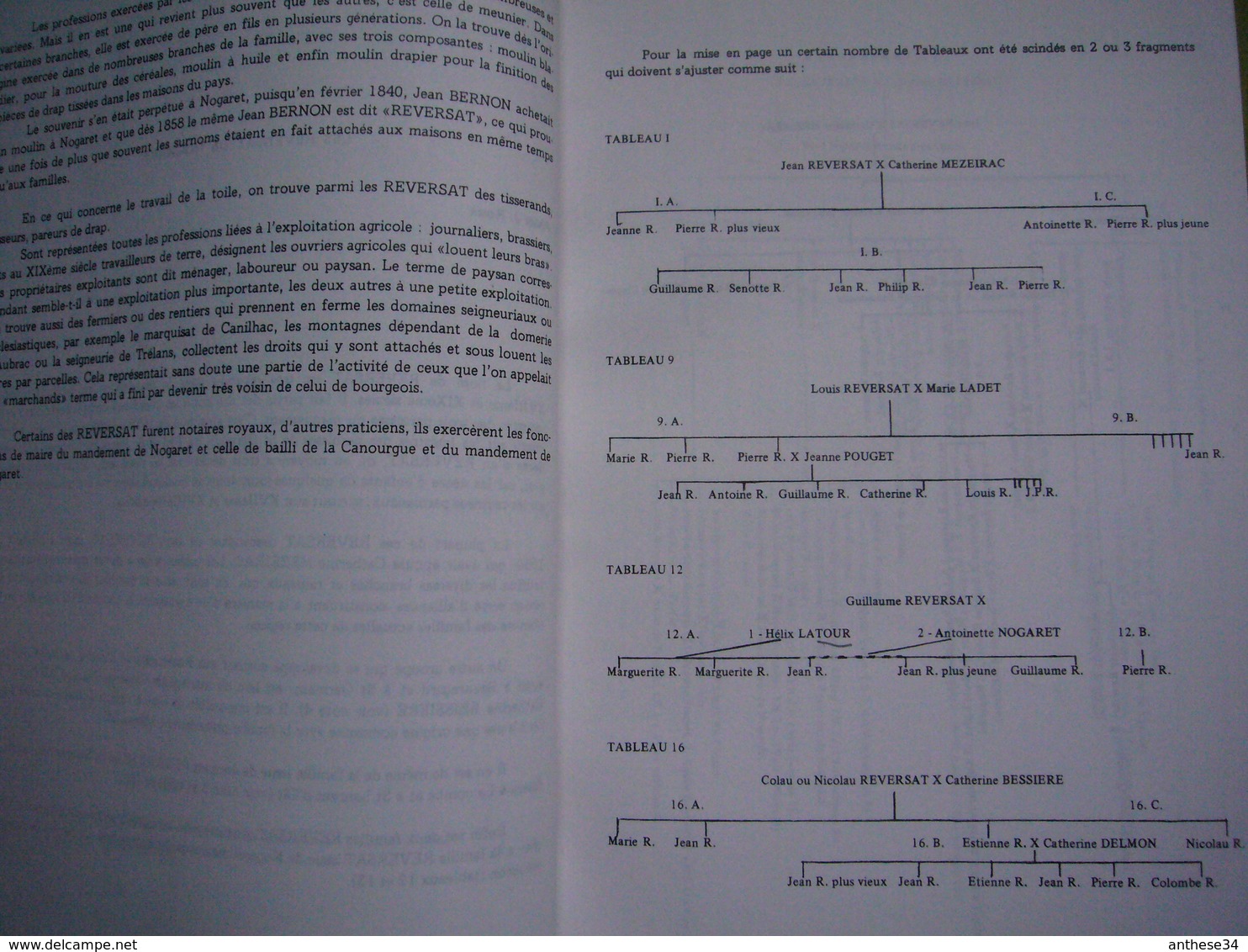 Tapuscrit En 2 Volumes Généalogie De La Famille Reversat De Nogaret Lozère 250 Pages - Non Classés