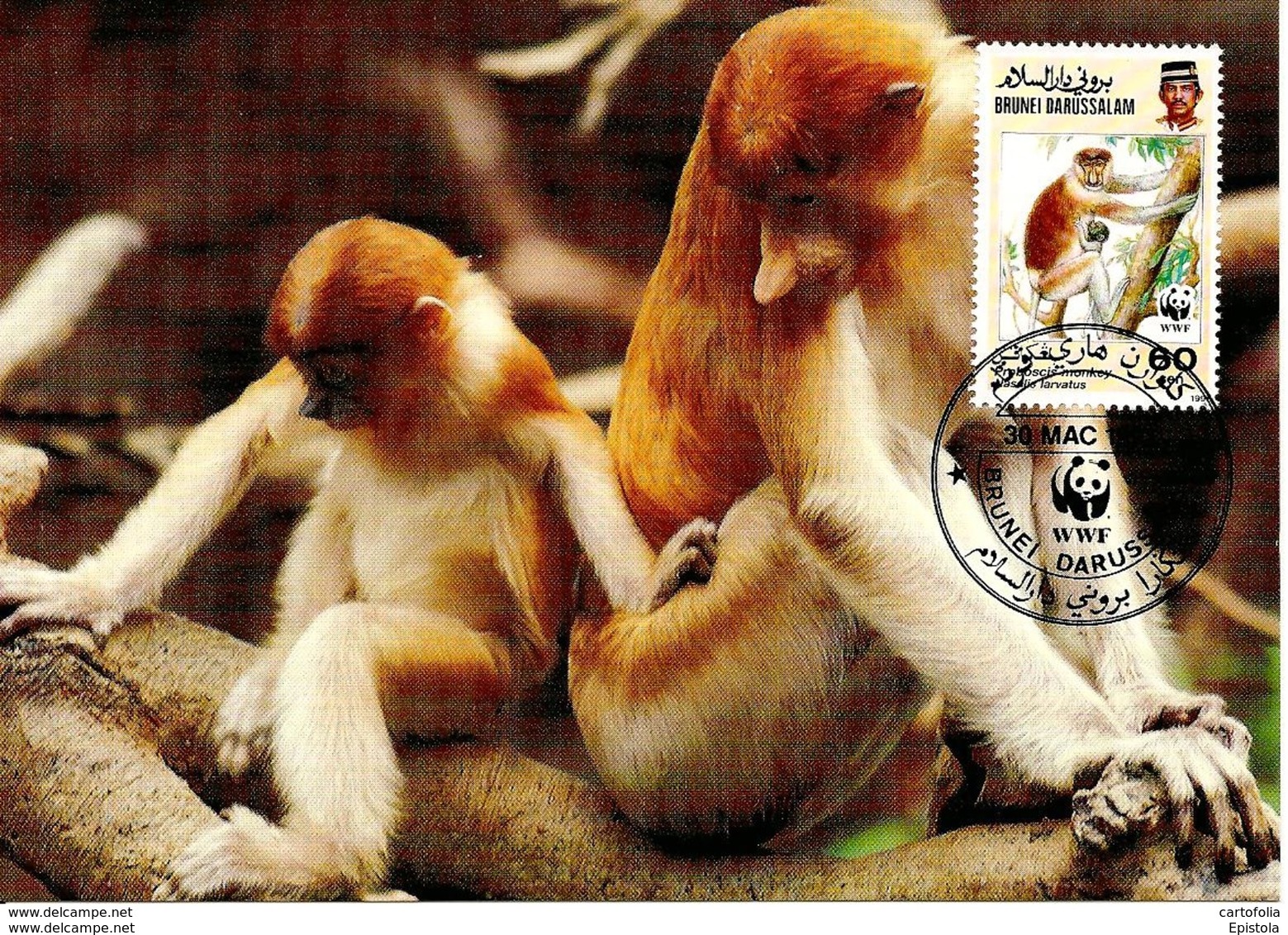 1991 - BRUNEI DARUSSALAM - Proboscis Monkey Singe  WWF - Brunei