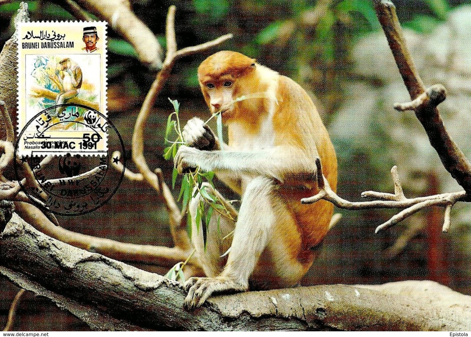 1991 - BRUNEI DARUSSALAM - Proboscis Monkey Singe  WWF - Brunei