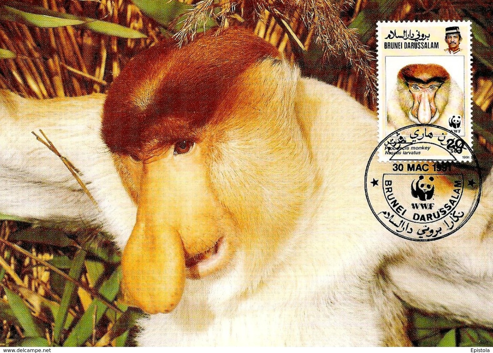 1991 - BRUNEI DARUSSALAM - Proboscis Monkey Singe  WWF - Brunei