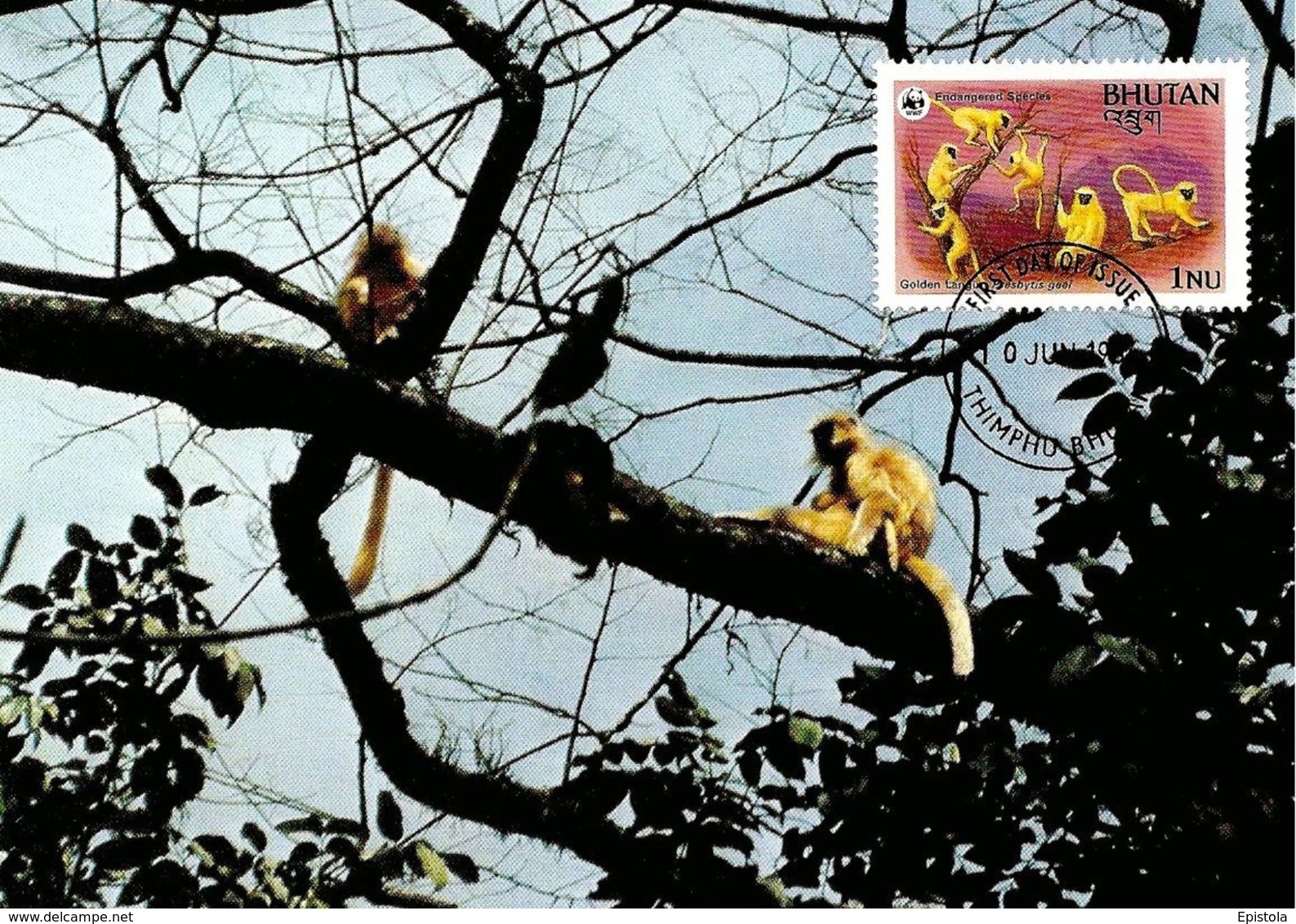 1984 - BHUTAN - Bhoutan - Golden Langur Monkey - Singe Langur Doré  WWF - Bhoutan