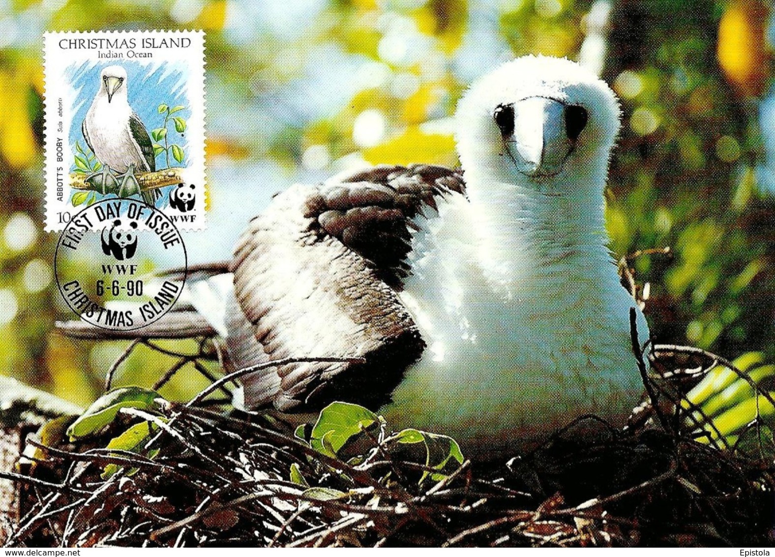 1990 - CHRISTMAS ISLAND - Abbott's Booby - Fou D'Abbott WWF - Christmas Island