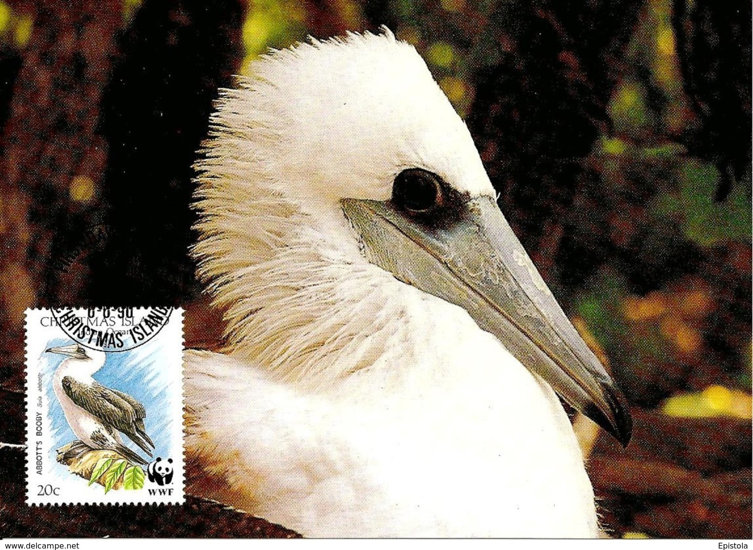 1990 - CHRISTMAS ISLAND - Abbott's Booby - Fou D'Abbott WWF - Islas Christmas