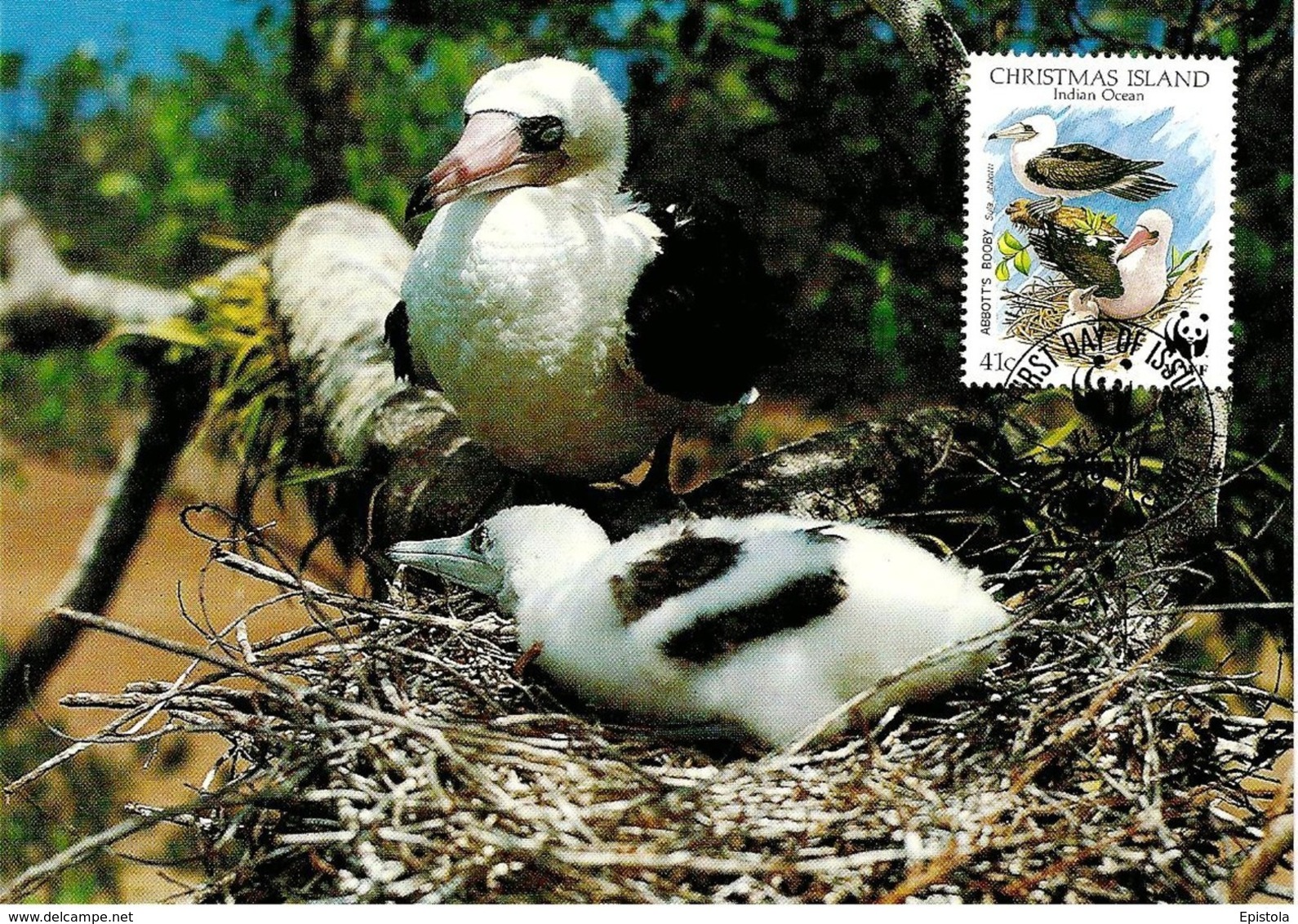 1990 - CHRISTMAS ISLAND - Abbott's Booby - Fou D'Abbott WWF - Christmas Island