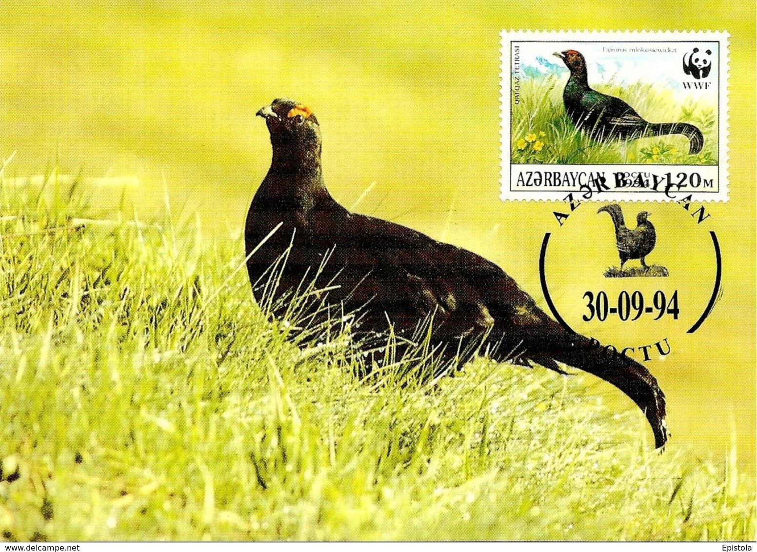 1994 - Azerbaïjan Azərbaycan - Caucasian Black Grouse - Tertras Du Caucase  WWF - Azerbaïjan