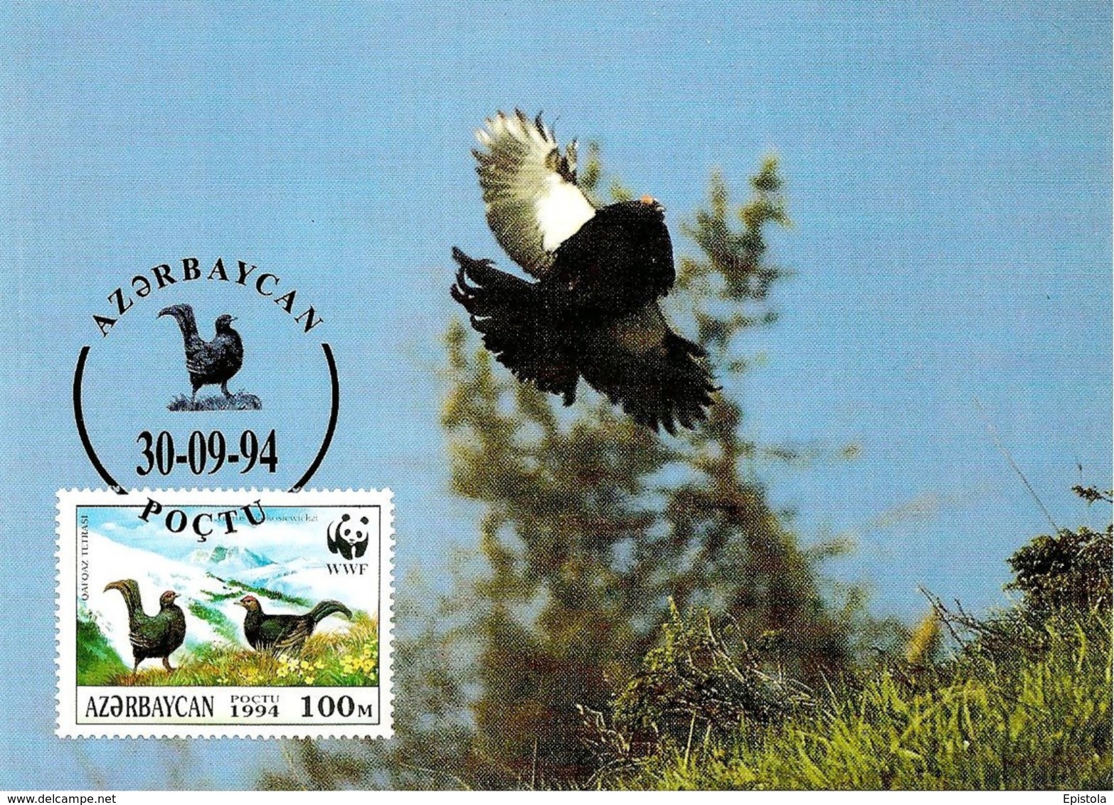1994 - Azerbaïjan Azərbaycan - Caucasian Black Grouse - Tertras Du Caucase  WWF - Azerbaïjan