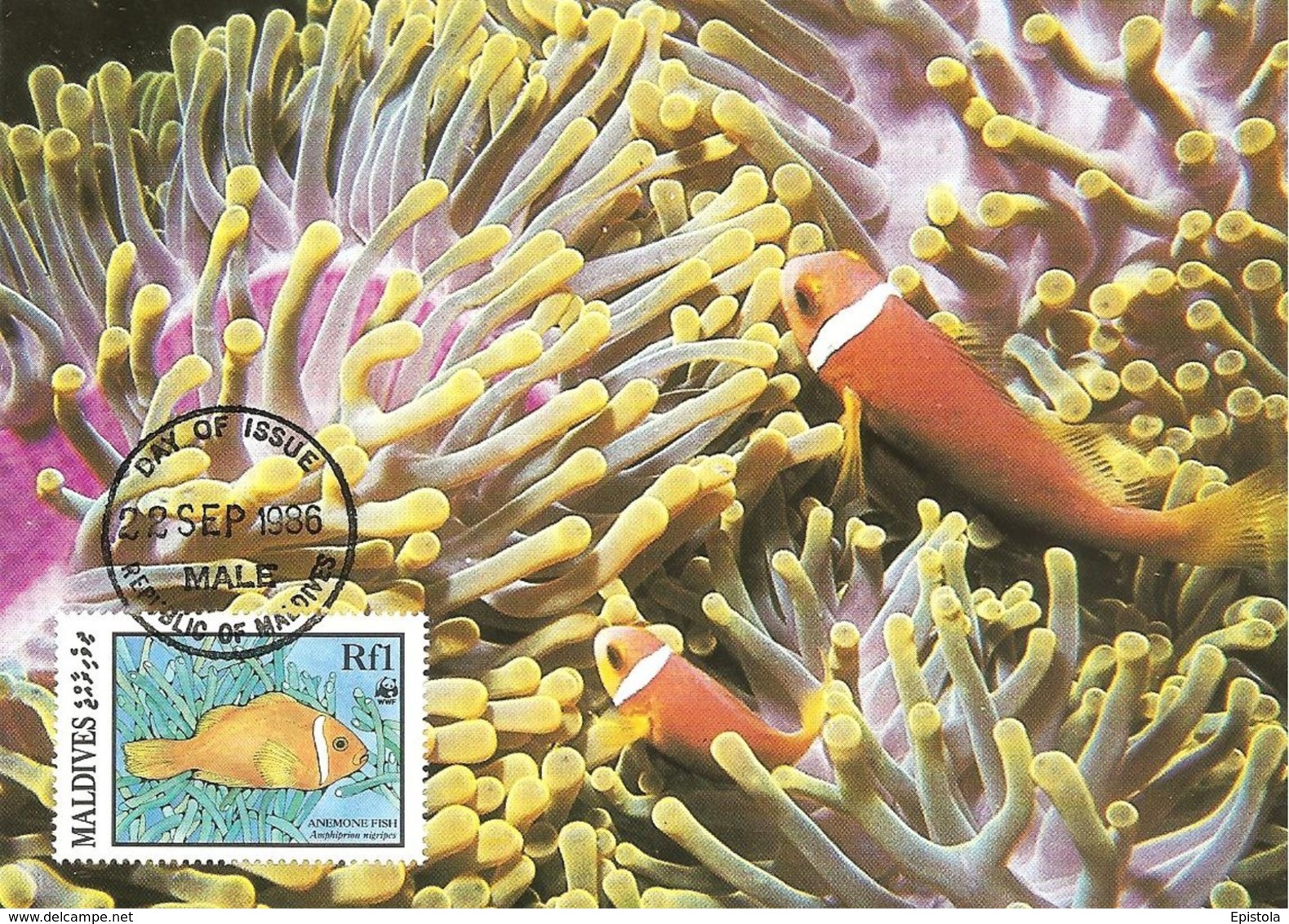 1986 - MALDIVES - Male - Anemonefish Poisson-clown WWF - Maldives