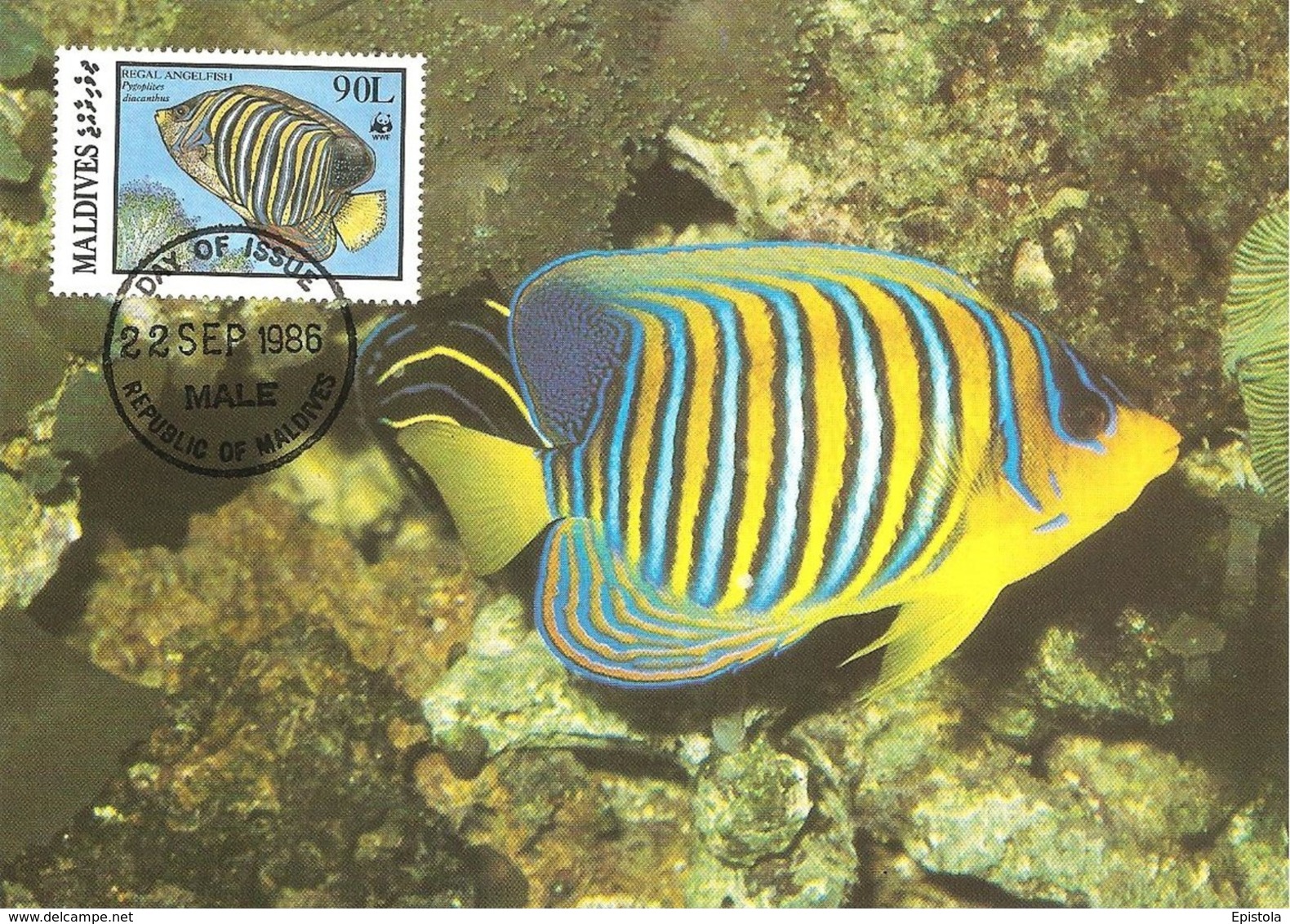 1986 - MALDIVES - Male - Regal Angelfish - Poisson-ange Duc  WWF - Maldives