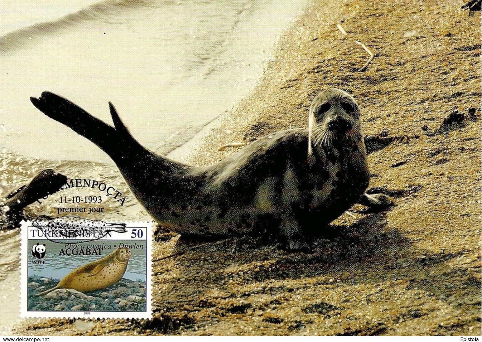 1993 - TURKMENISTAN Туркмениста́н - Caspian Seal - Phoque De La Mer Caspienne WWF - Turkmenistan