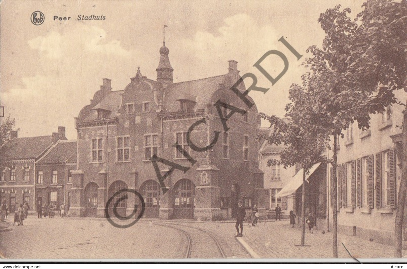 Postkaart / Carte Postale PEER Stadhuis (A197) - Peer