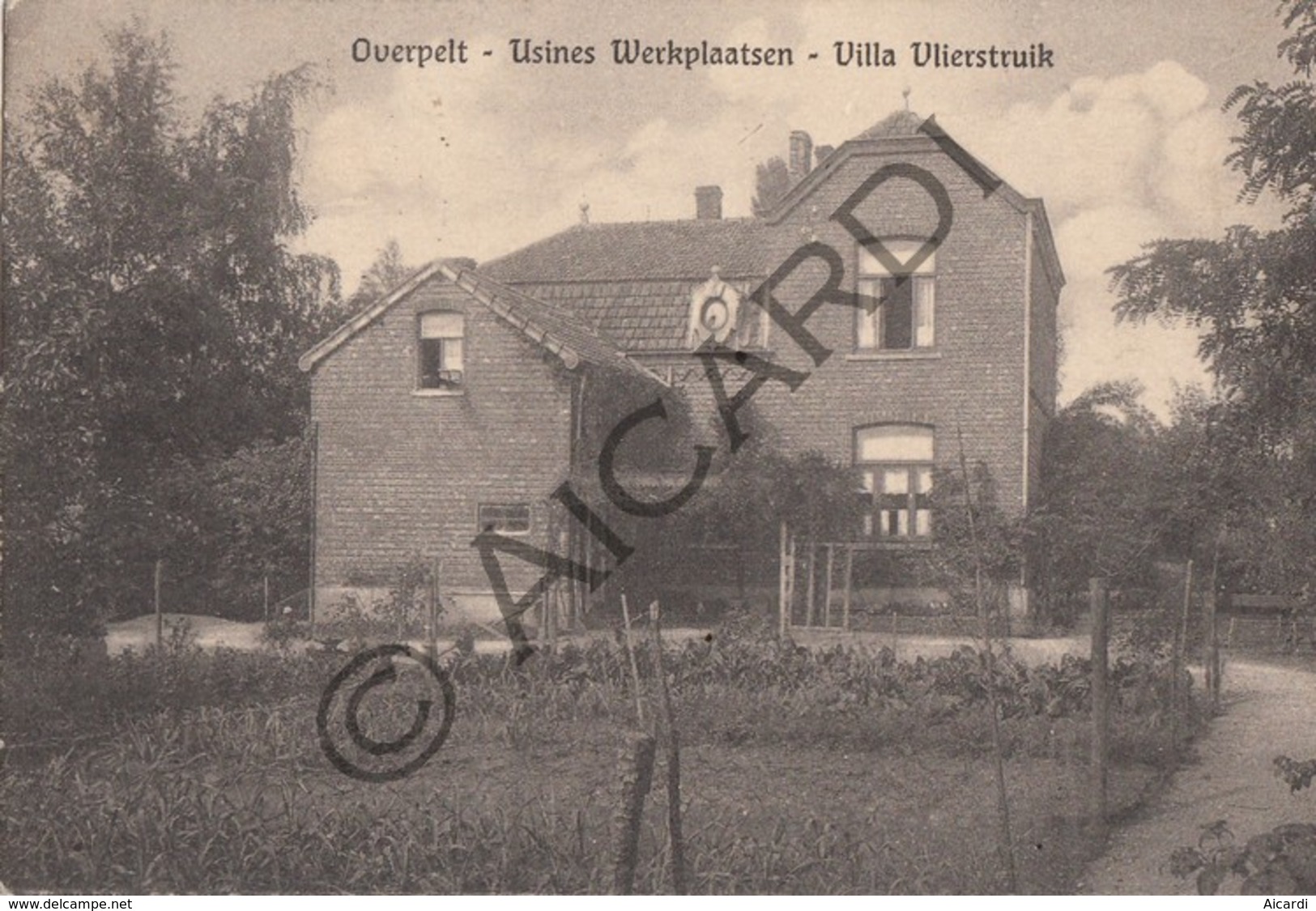 Postkaart / Carte Postale OVERPELT - Villa Vlierstruik  - Vandesteen, Kwaadmechelen  (B463) - Overpelt