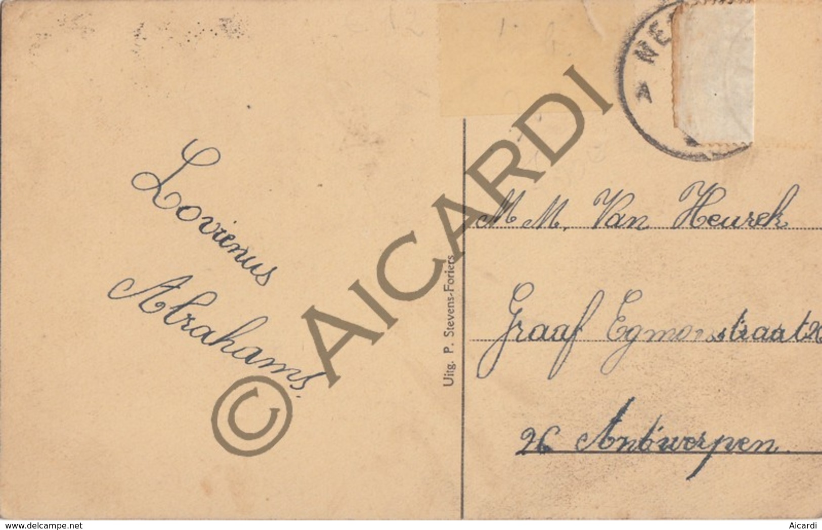 Postkaart / Carte Postale OVERPELT - Schuttersboom  (A168) - Overpelt