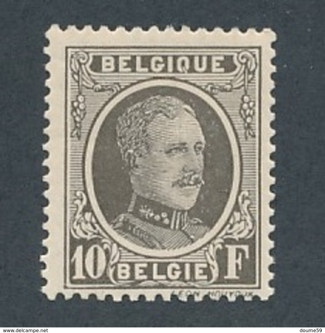 DI-670:BELGIQUE: Lot Avec N°210* - 1915-1920 Albert I