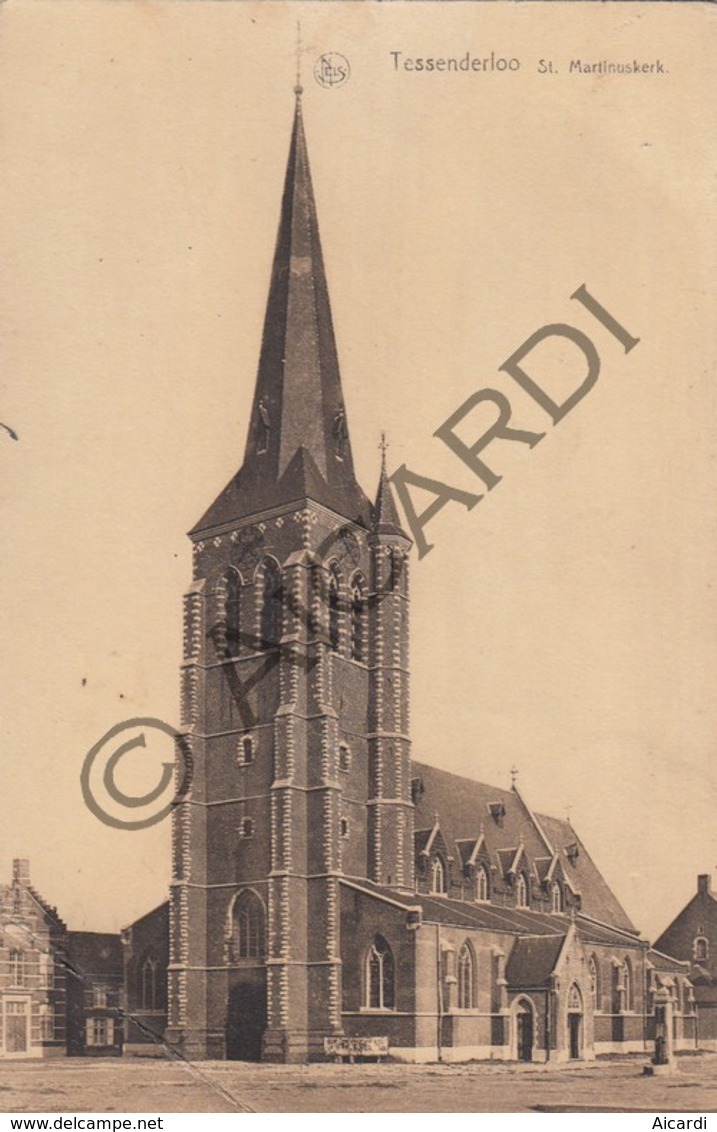 Postkaart / Carte Postale TESSENDERLO Sint Martinuskerk  (A244) - Tessenderlo