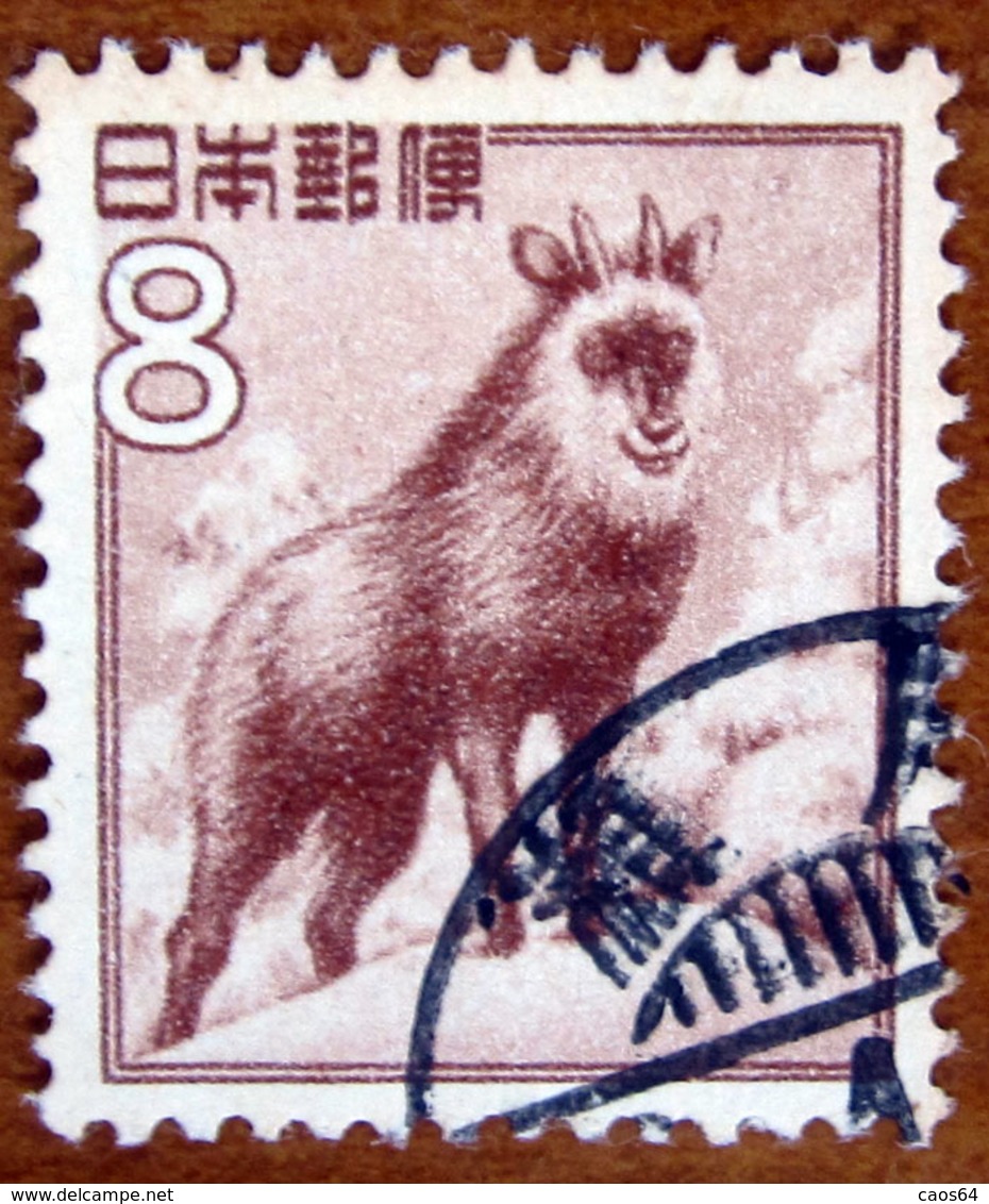 1952 GIAPPONE Animali Capre Japanese Serow (Capricornis Crispus) - 8y Usato - Usati