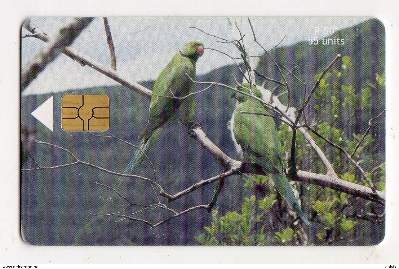 MAURICE TELECARTE REF MV CARDS MAU-48 55U OISEAU ECHO PARAKEET - Mauritius