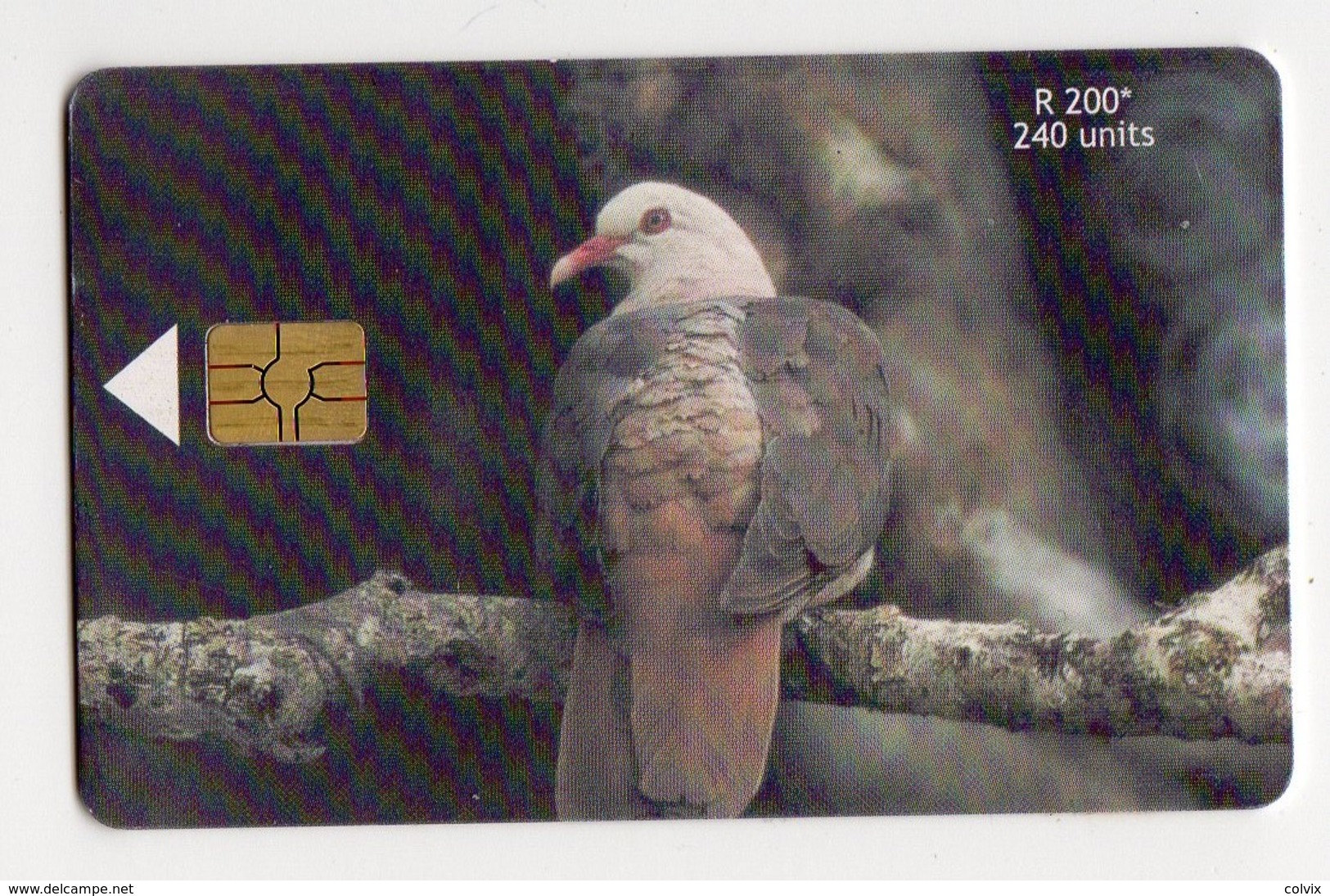 MAURICE TELECARTE REF MV CARDS MAU-49 240U OISEAU PINK PIGEON - Mauritius