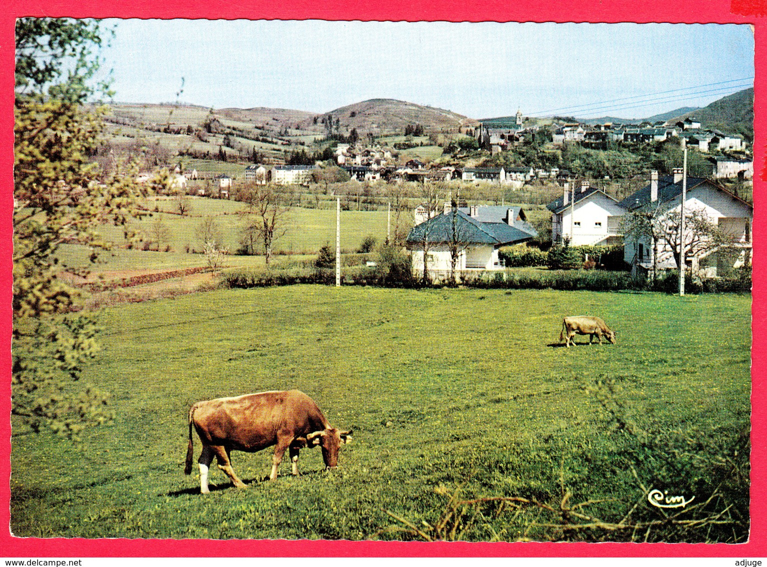 LA SALVETAT SUR AGOUT - Vue Générale * Animation !!*SUP** 2 SCAN- - La Salvetat