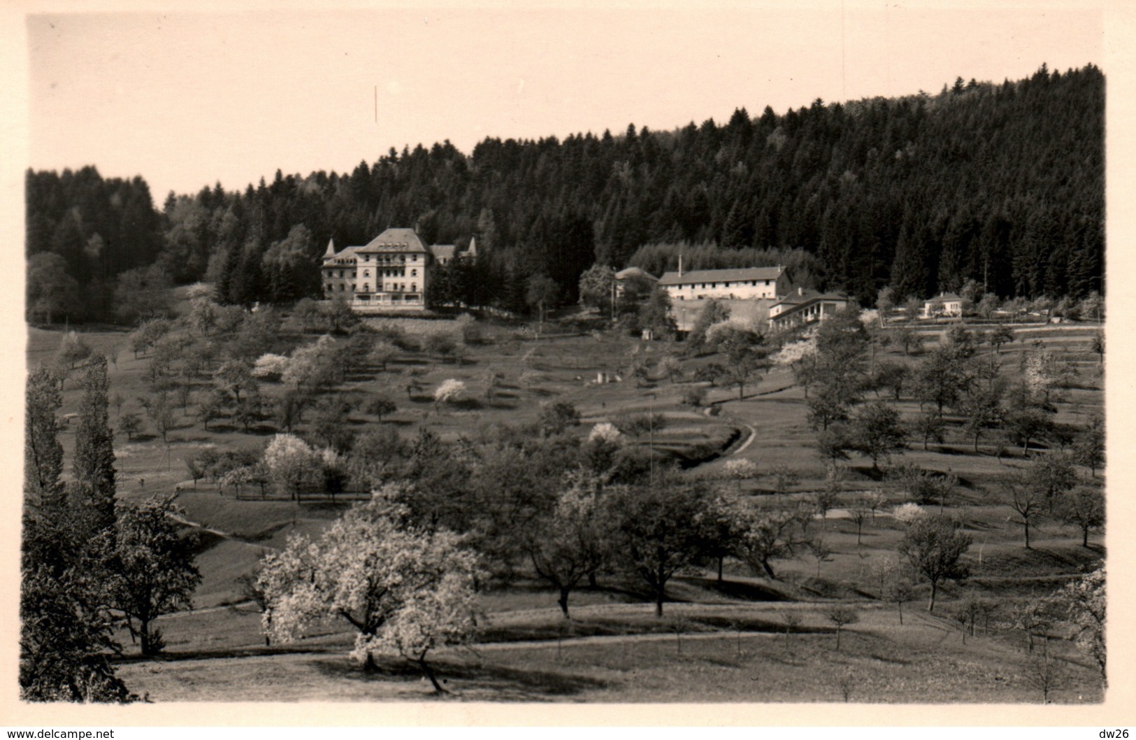 Masevaux (Alsace, Haut-Rhin) Maison De Repos Et De Convalescence - Carte Non Circulée - Masevaux