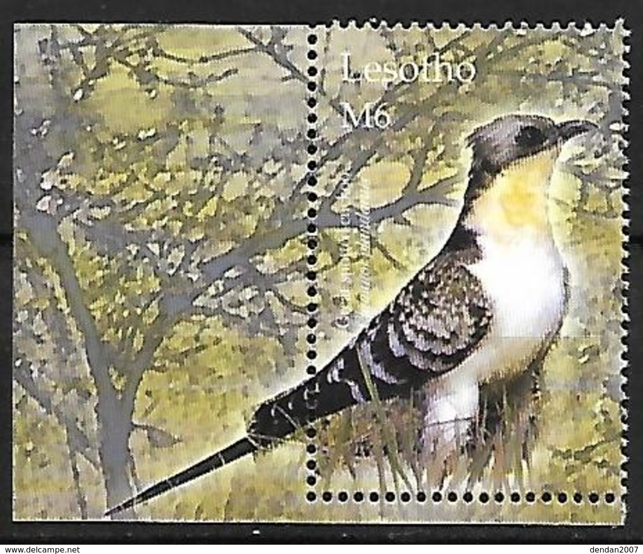 LESOTHO - MNH 2004 - Great Spotted Cuckoo  -  Clamator Glandarius - Cuckoos & Turacos
