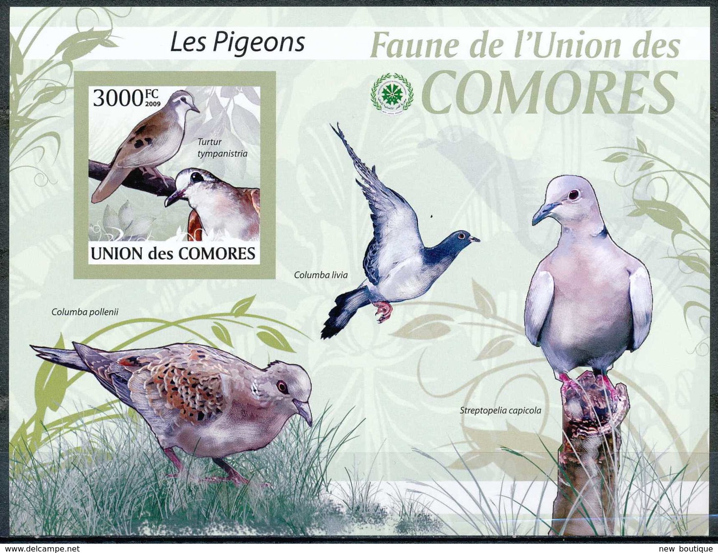 NB - [35511]SUP//ND/Imperf-BL - Union Des Comores - ND/imperf - Les Pigeons - Turtur Tympanistria - Oiseaux - Columbiformes