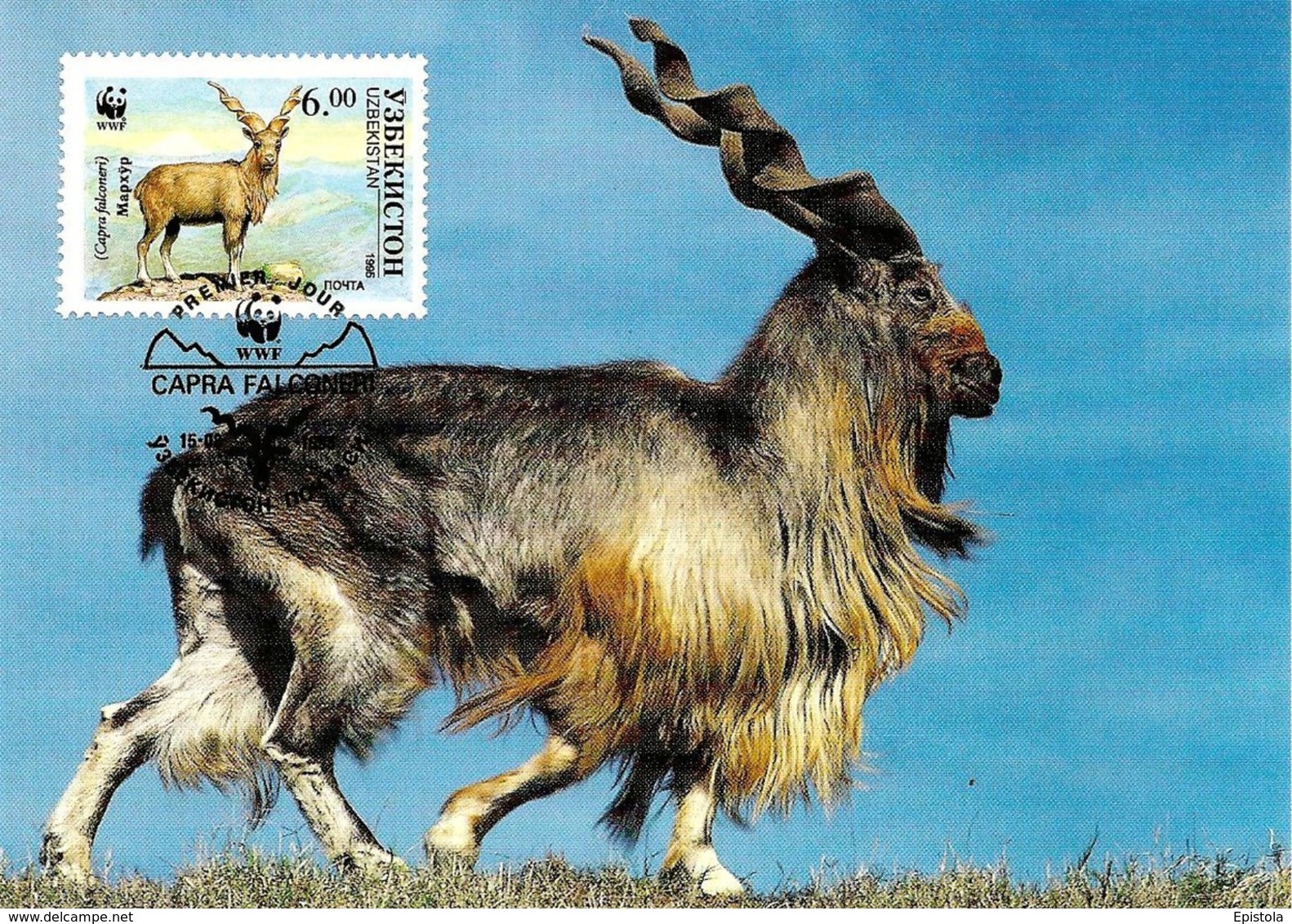 1995 - UZBEKISTAN - Ўзбекистон - Bélier Chevre D'Ouzbékistan - Markhor Goat WWF - Ouzbékistan