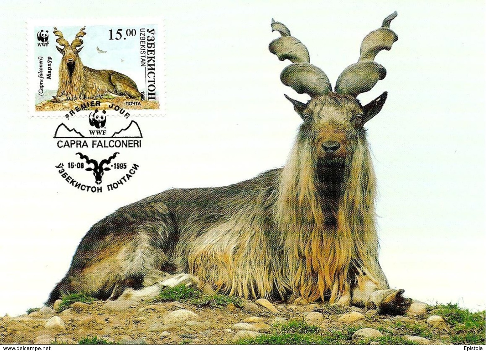 1995 - UZBEKISTAN - Ўзбекистон - Bélier Chevre D'Ouzbékistan - Markhor Goat WWF - Ouzbékistan