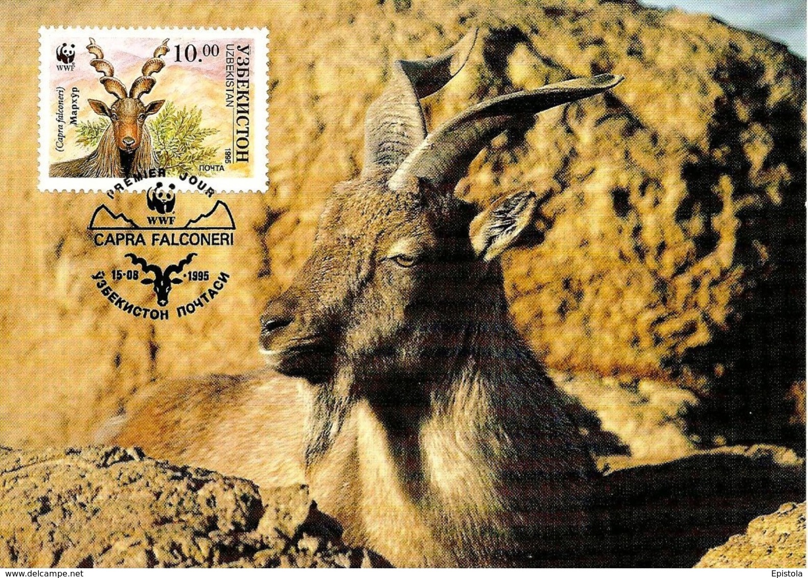 1995 - UZBEKISTAN - Ўзбекистон - Bélier Chevre D'Ouzbékistan - Markhor Goat WWF - Ouzbékistan