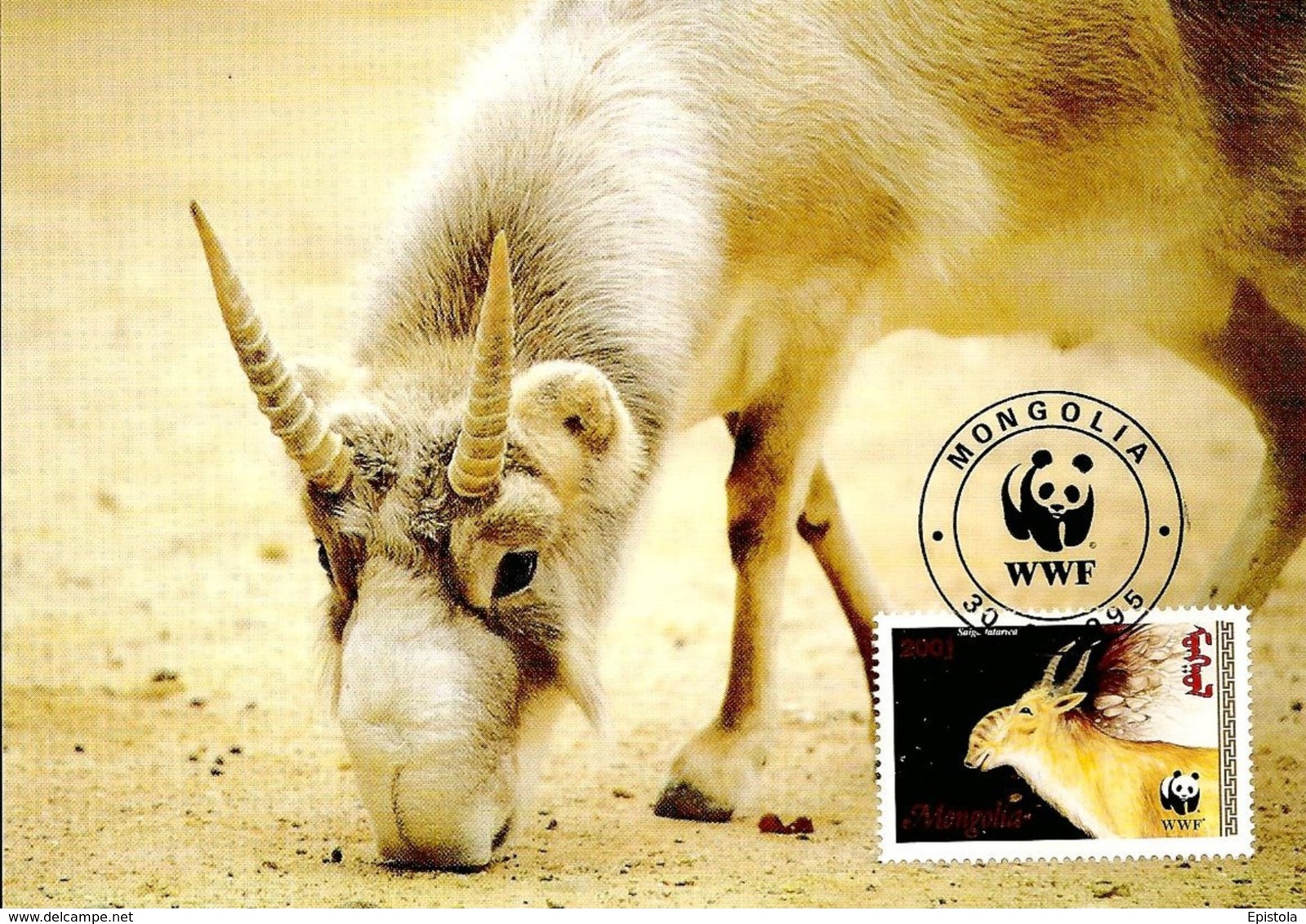 1995 - MONGOLIA - Saiga Tatarica -  Antilope Eurasiatique De Mongolie  WWF - Mongolia