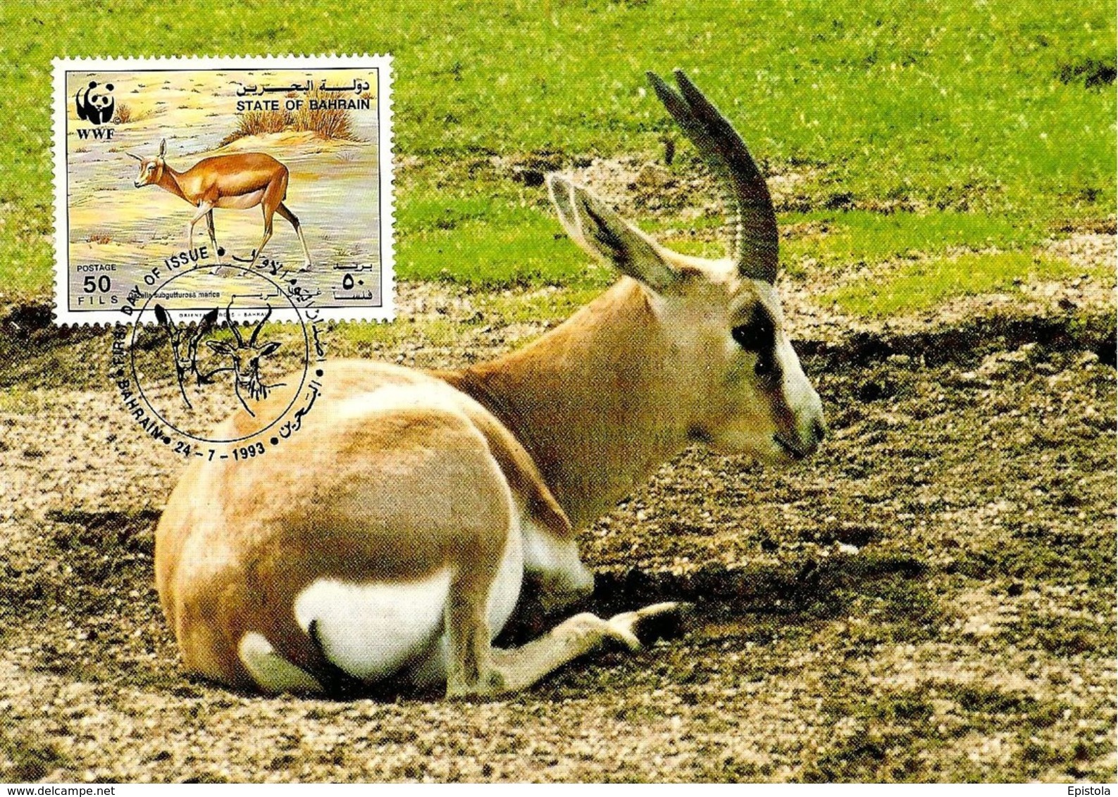 1993 - BAHRAIN - Gazelle à Goitre De Bahrein - Goitered Gazelle WWF - Bahreïn